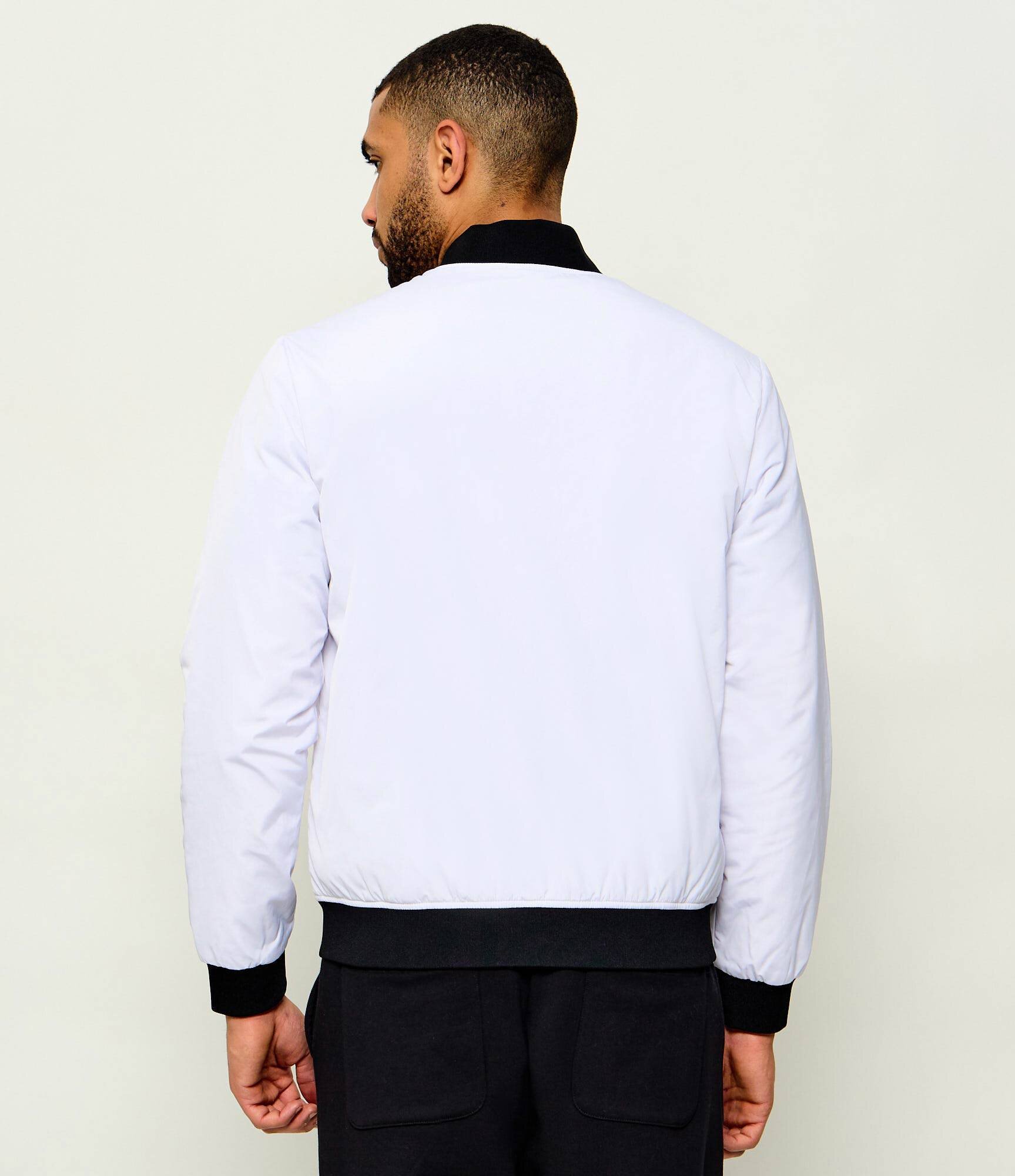 EA7 Geacă bomber | regular fit