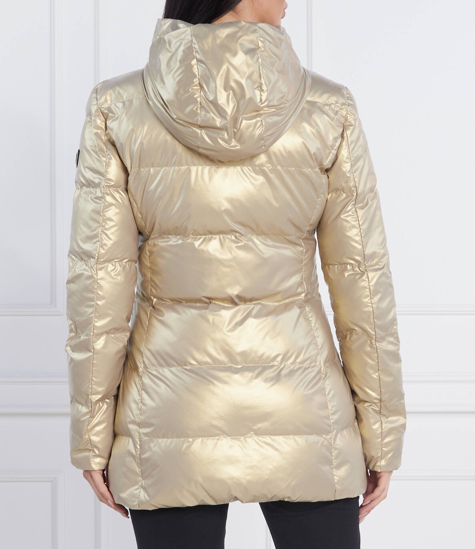 EA7 Geacă | Regular Fit