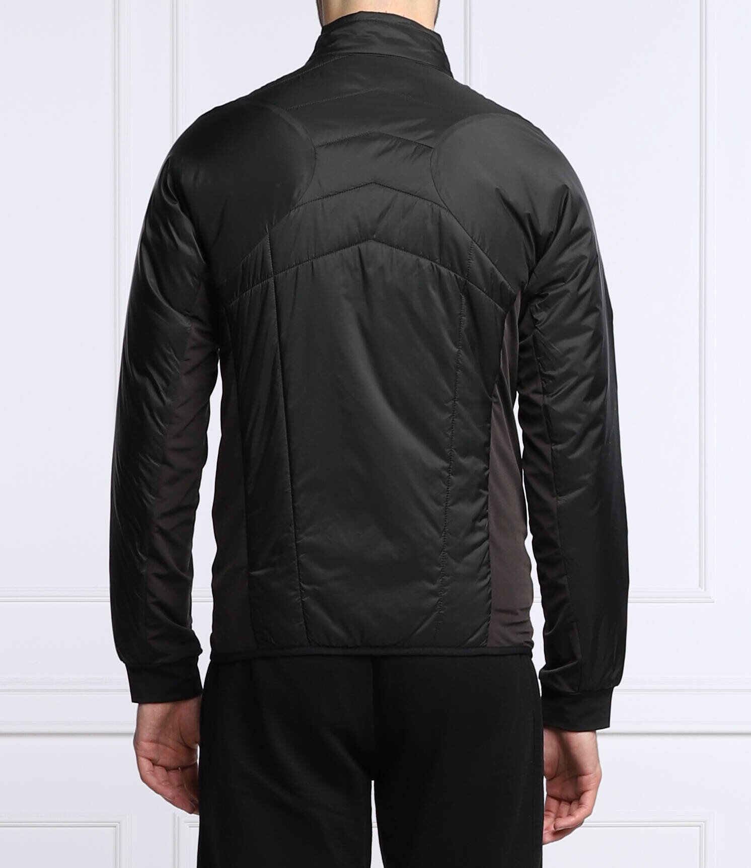 EA7 Geacă | Regular Fit