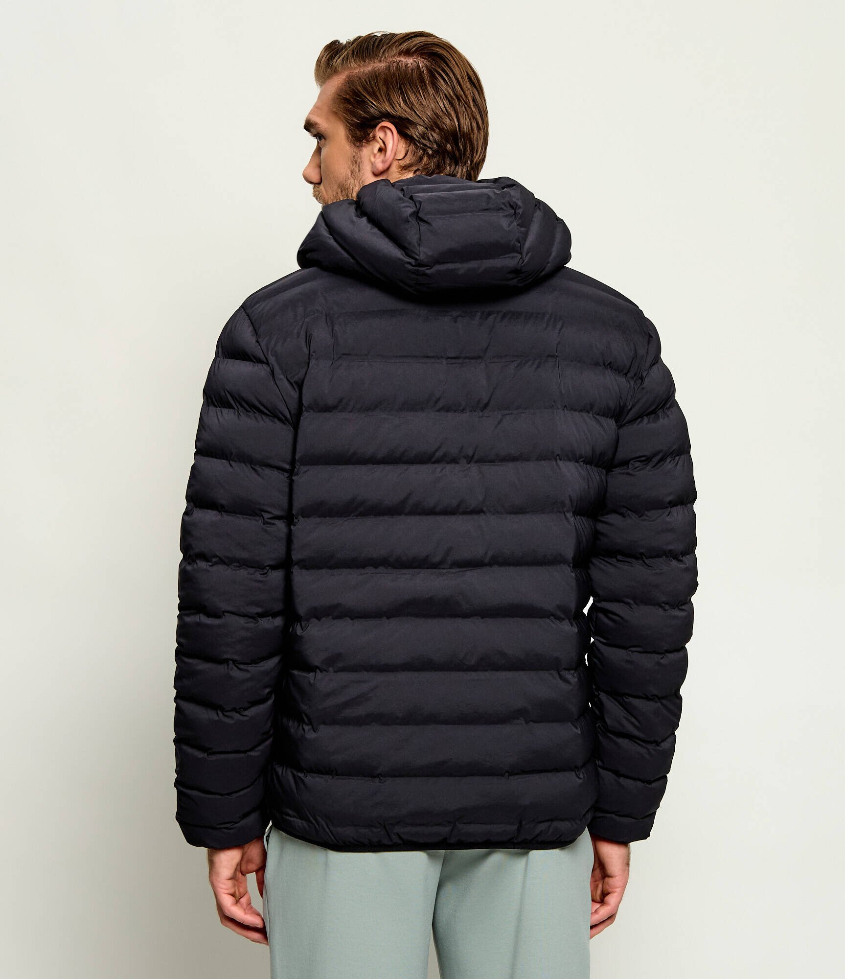 EA7 Geacă | regular fit