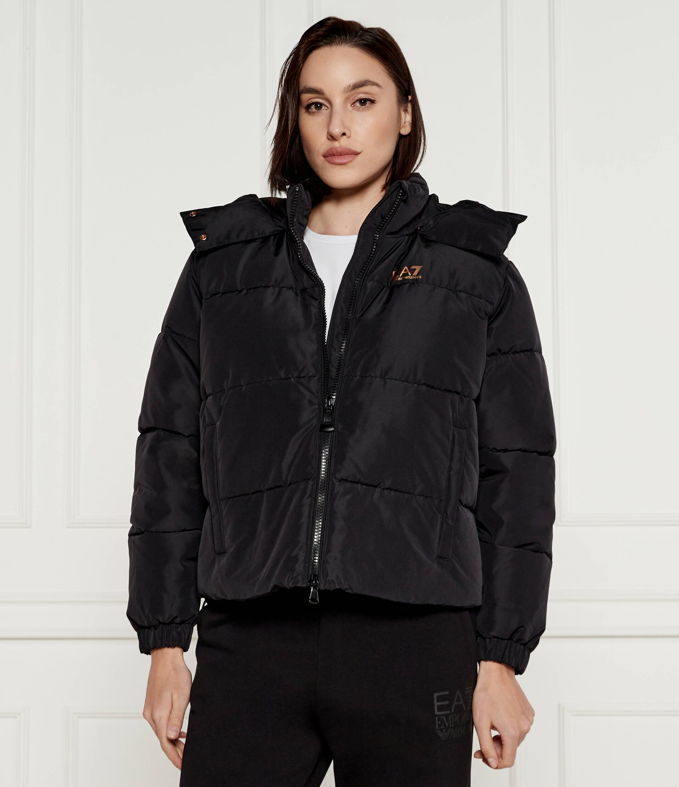 EA7 Geacă | Regular Fit