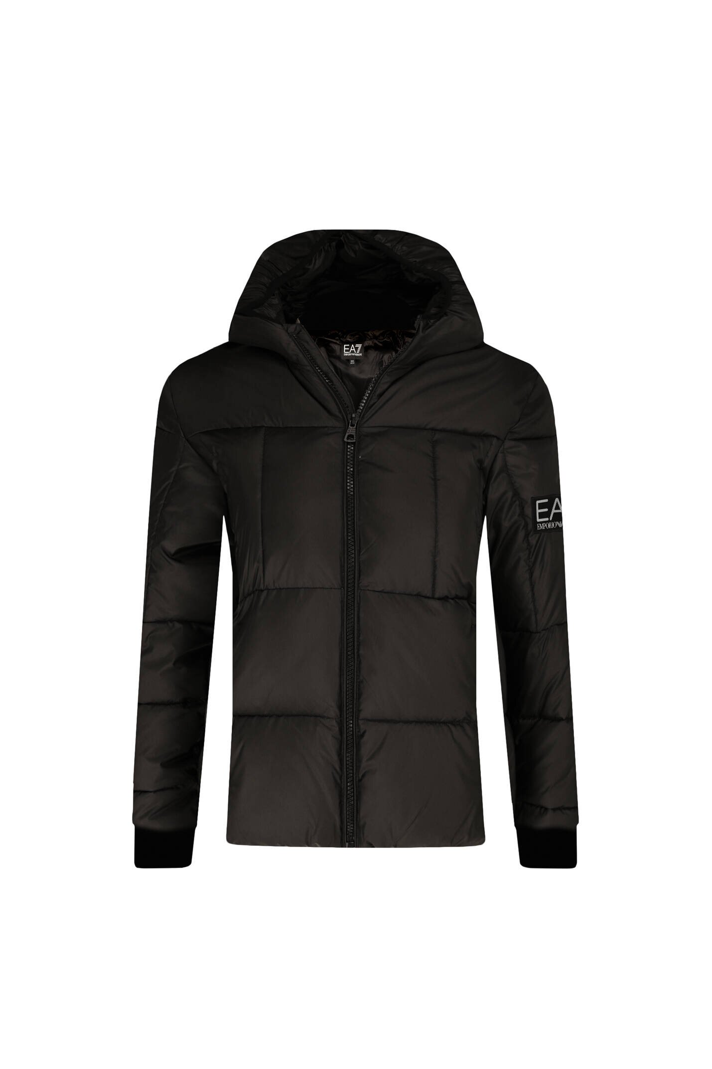 EA7 geacă | regular fit