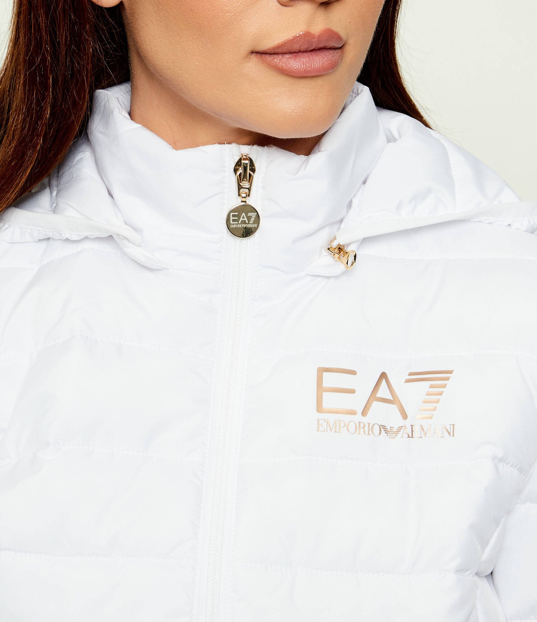 EA7 Geacă | Regular Fit