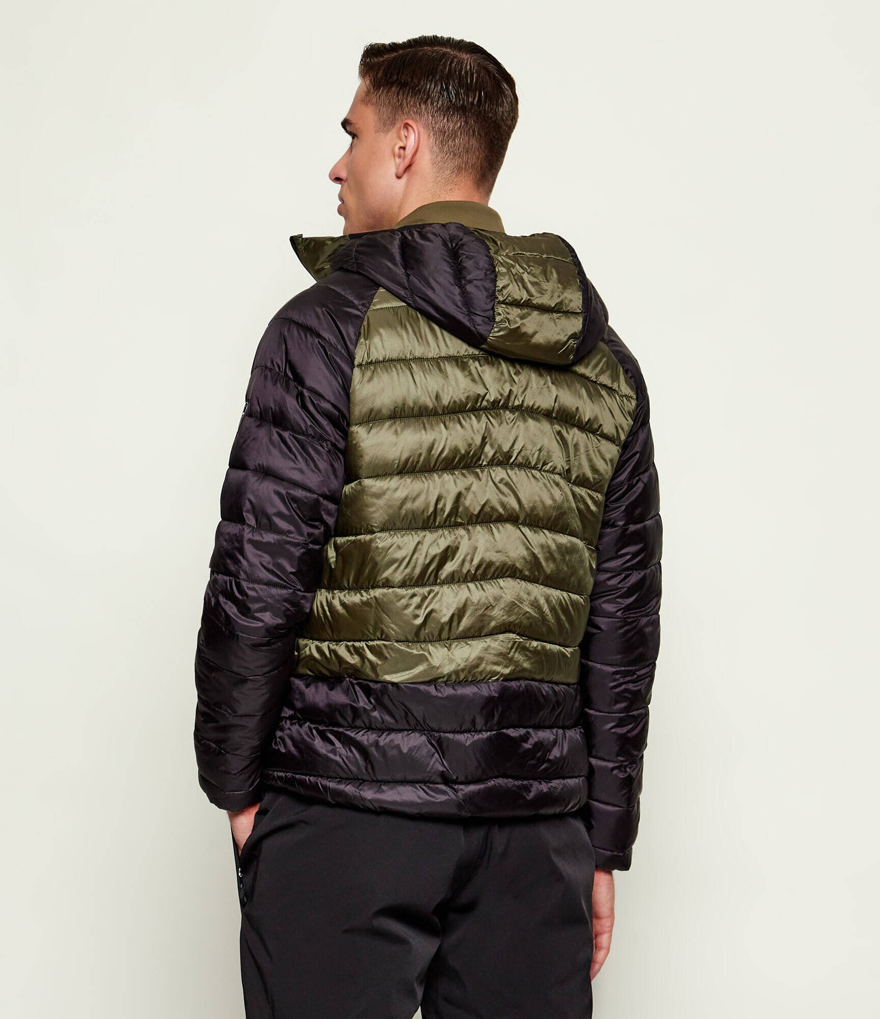 EA7 Geacă | regular fit