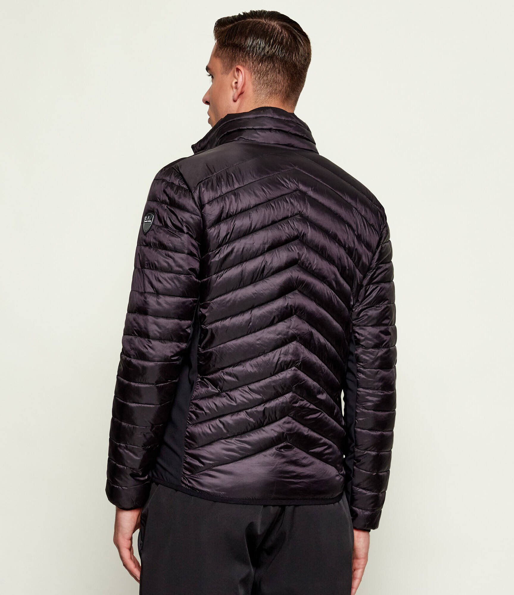 EA7 Geacă | regular fit