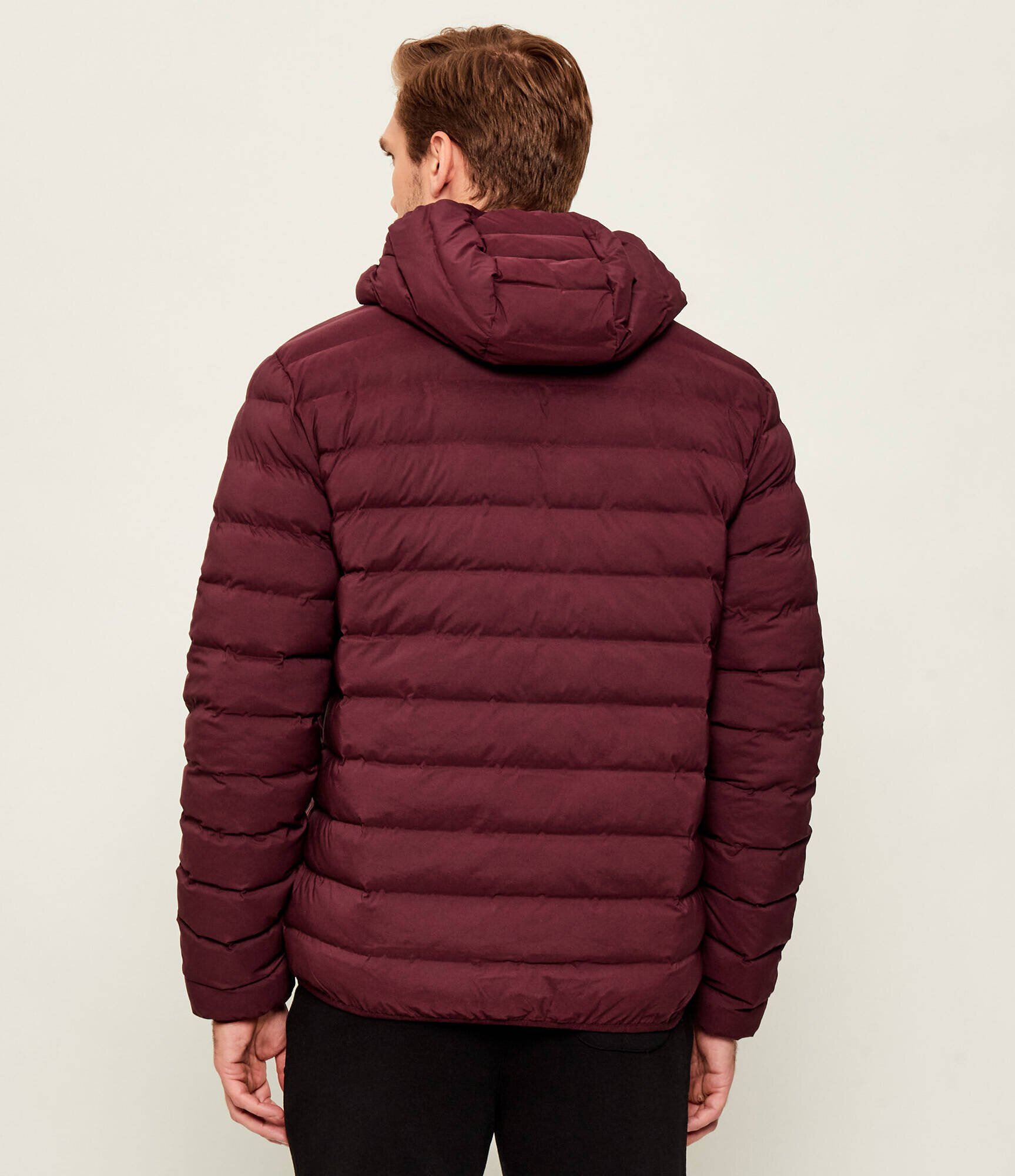 EA7 Geacă | regular fit