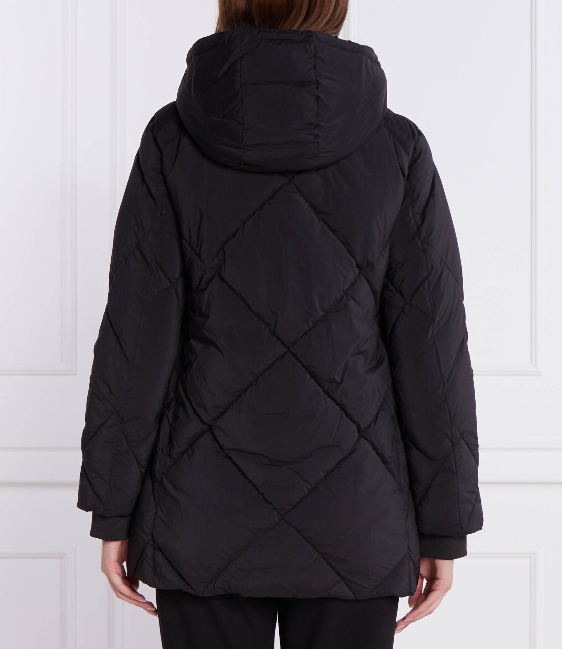 EA7 Geacă | Regular Fit