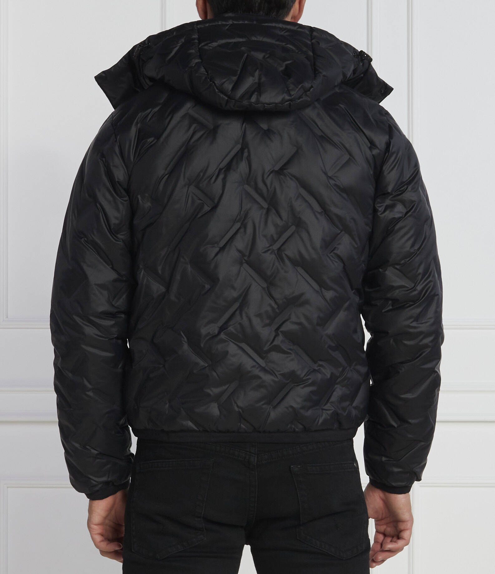 EA7 Geacă | Regular Fit