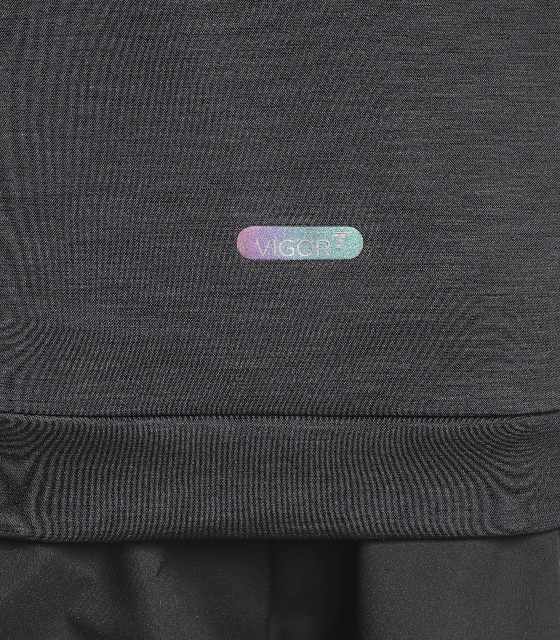 EA7 Hanorac | Regular Fit