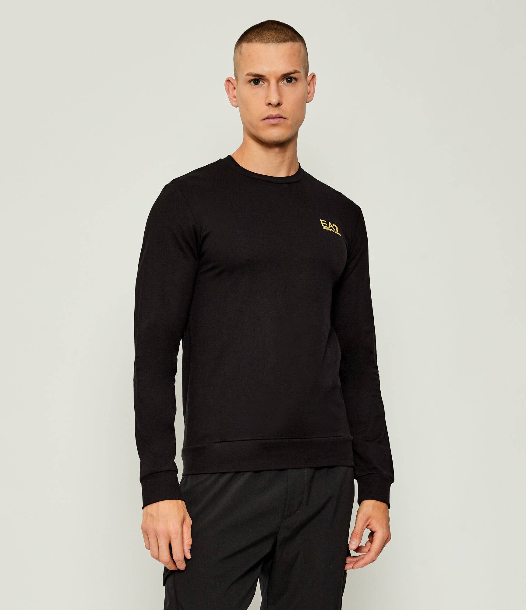 EA7 Hanorac | regular fit
