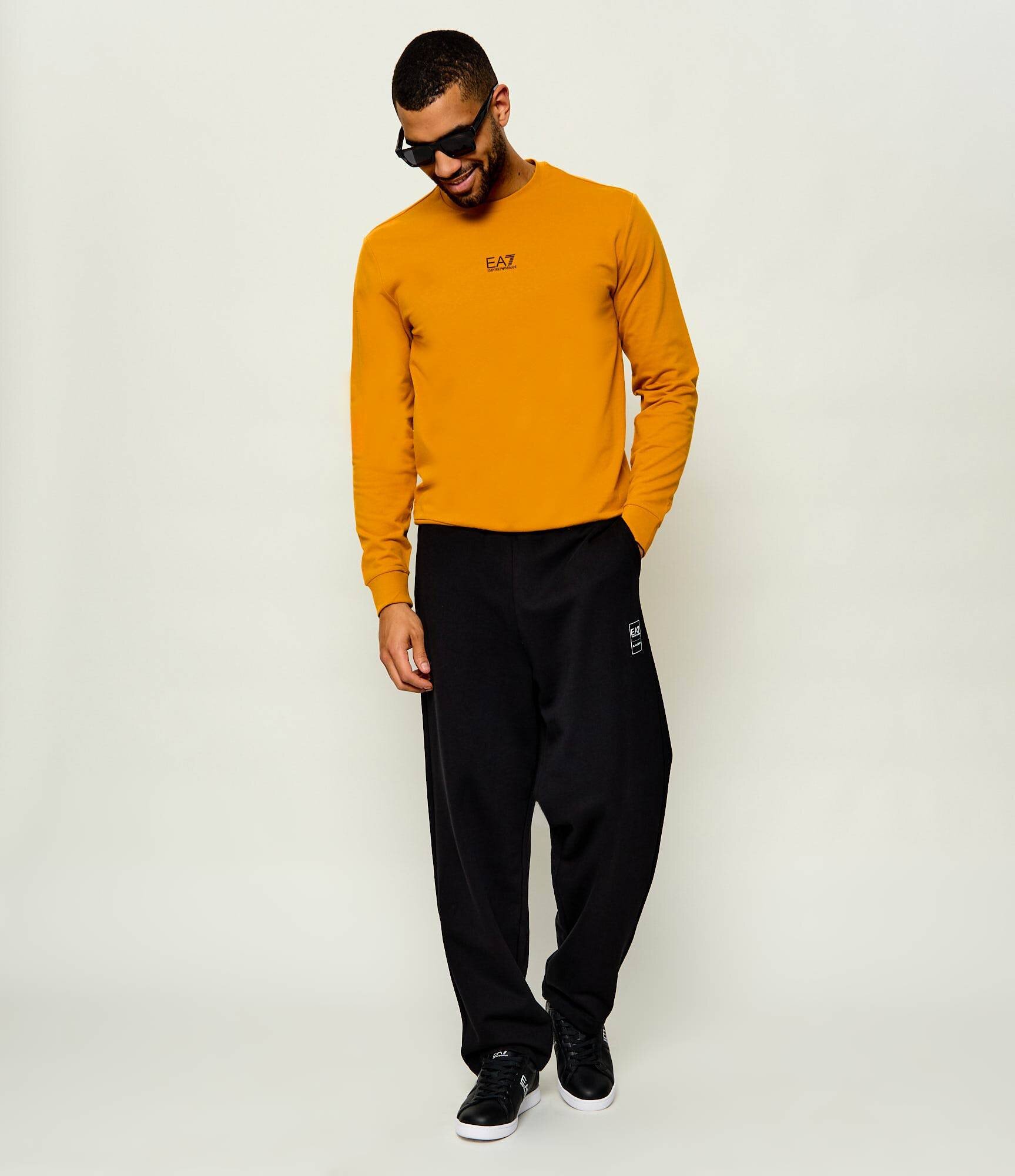 EA7 Hanorac | regular fit