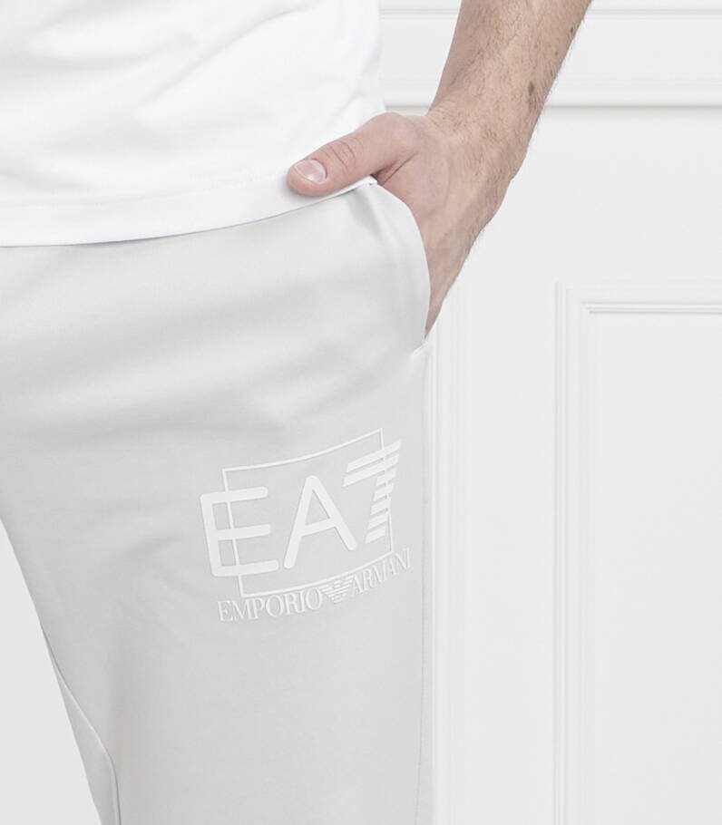 EA7 Pantaloni de trening | Regular Fit