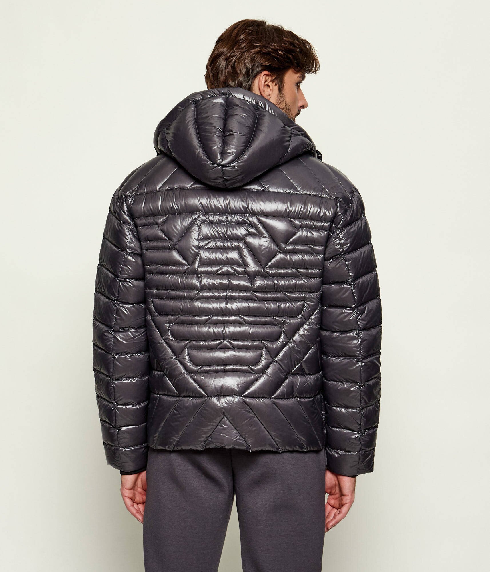 Emporio Armani De puf geacă | Regular Fit