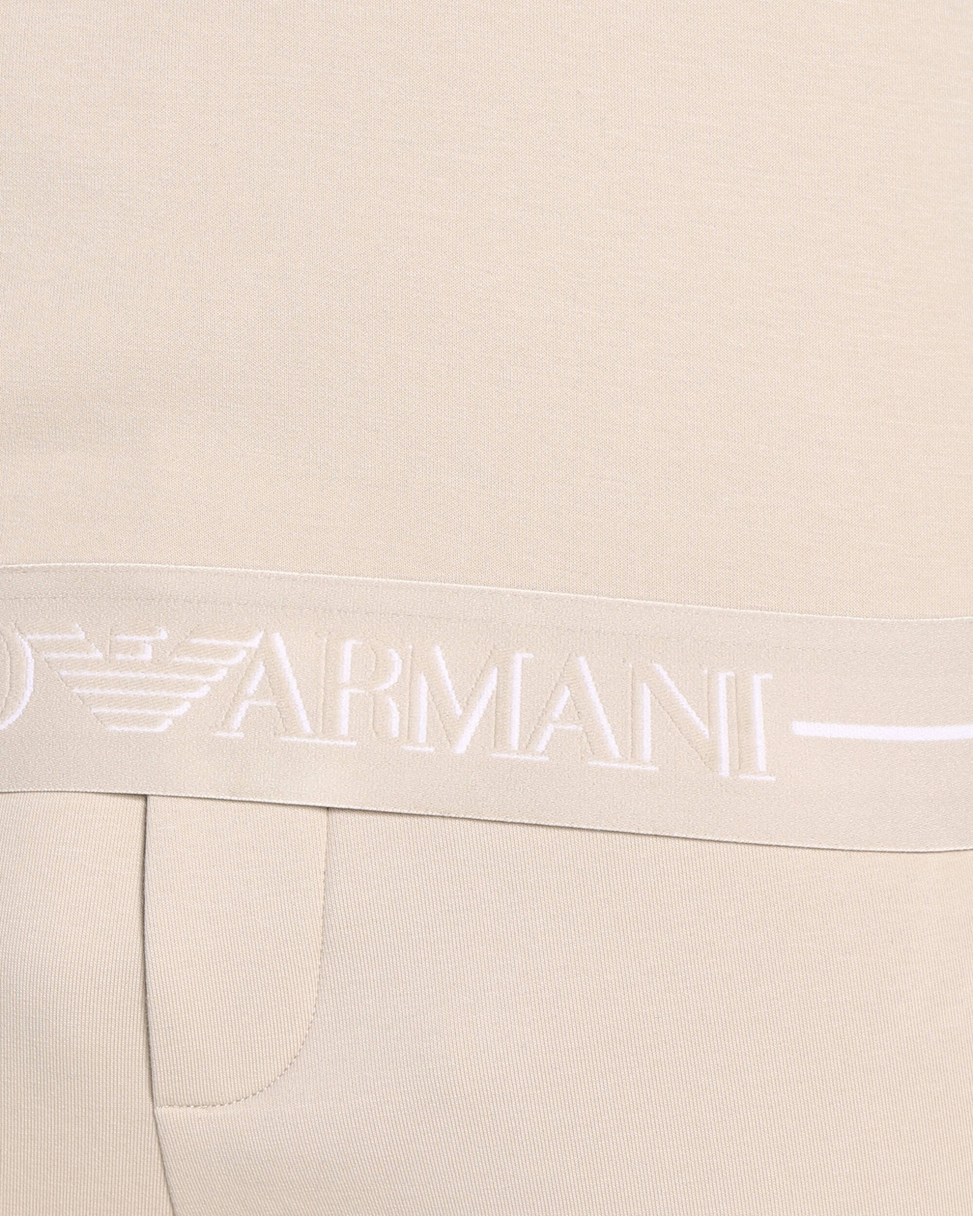 Emporio Armani Hanorac | Regular Fit