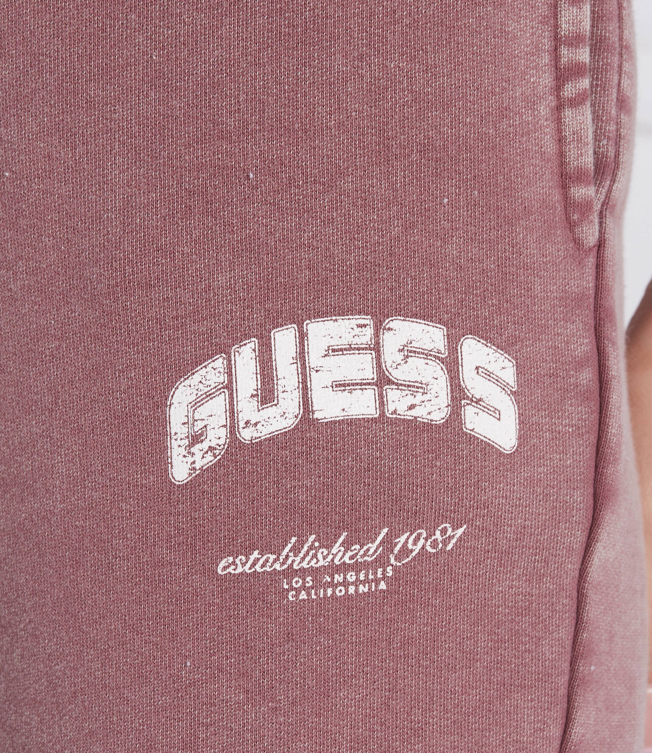 GUESS ACTIVE Pantaloni de trening BRYONY | Regular Fit