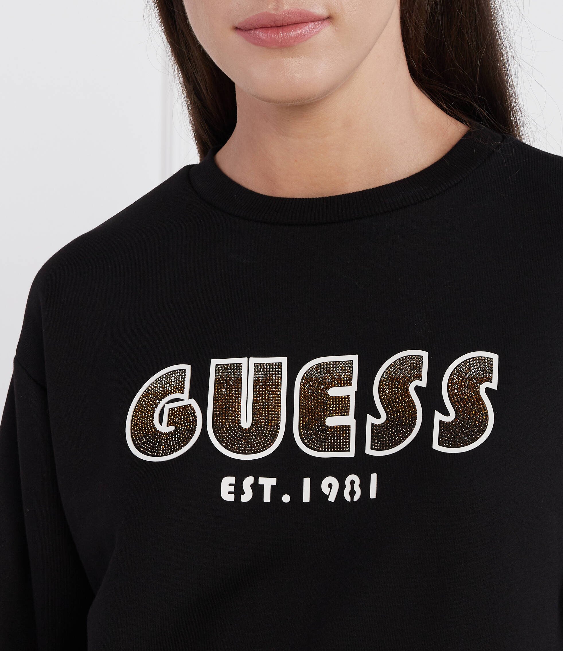 GUESS Hanorac CN SHADED LOGO | Regular Fit