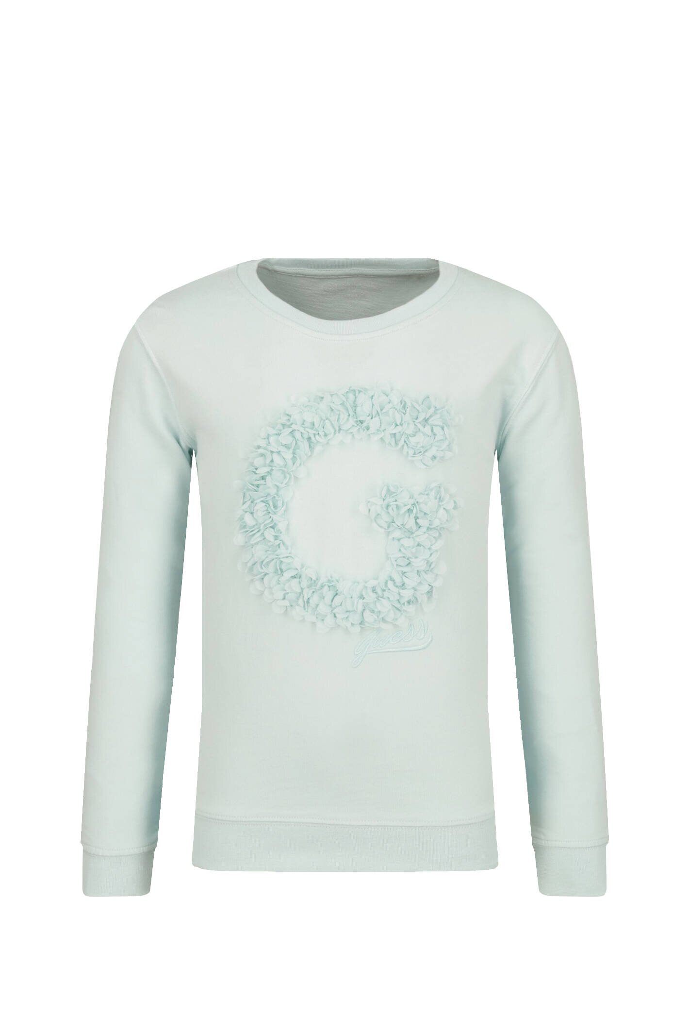 GUESS Hanorac MINIME | Regular Fit