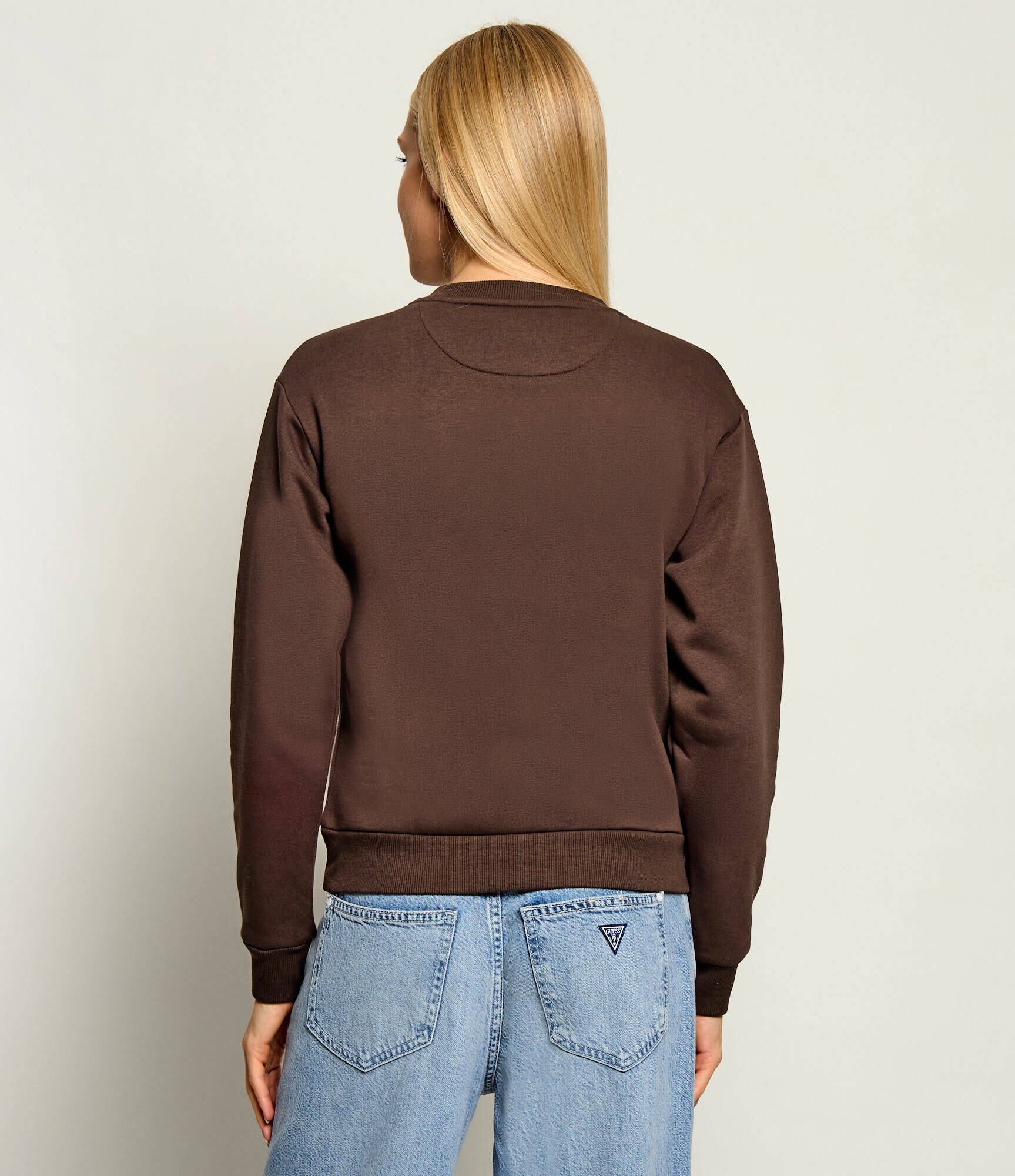 GUESS Hanorac | regular fit