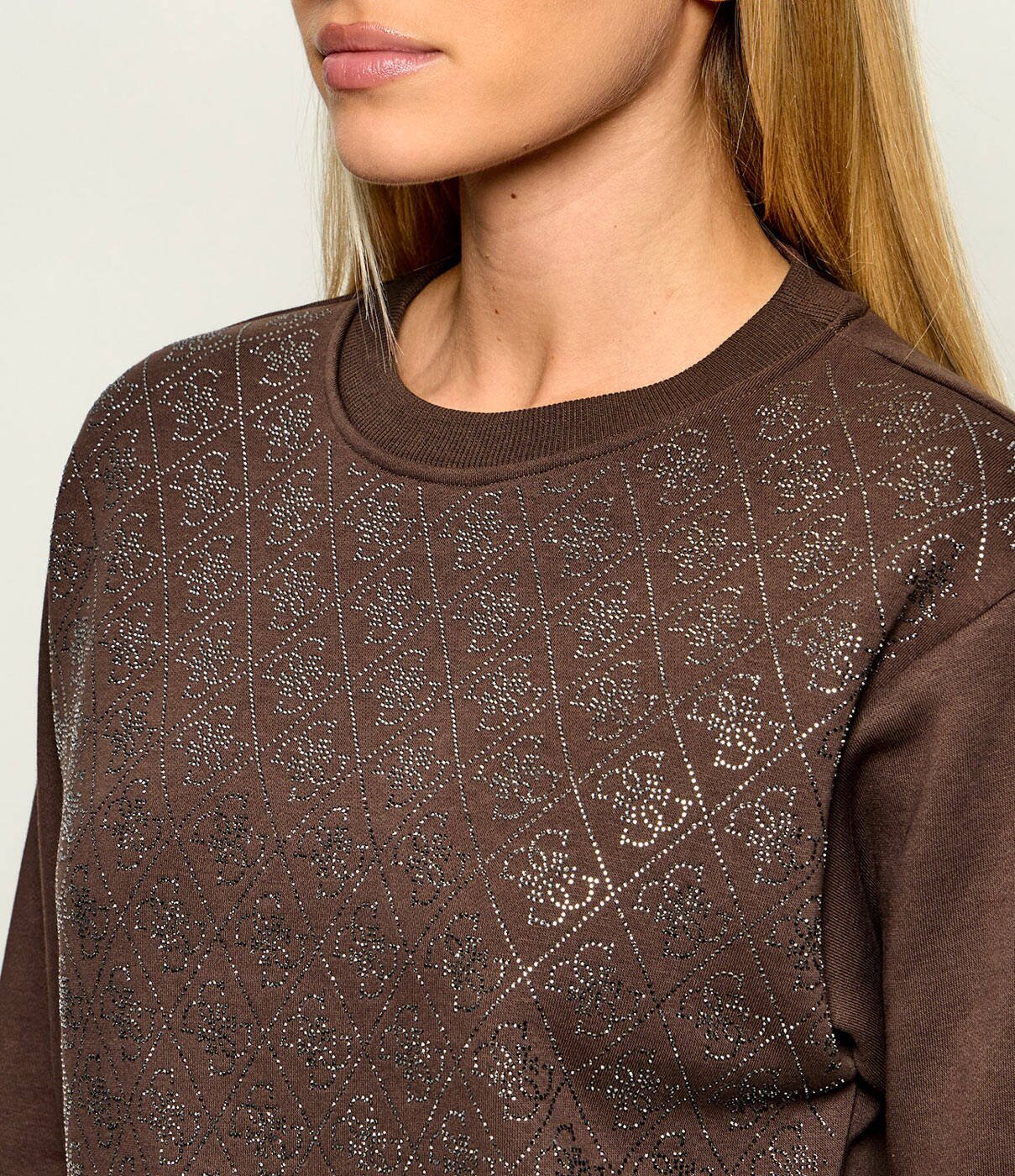 GUESS Hanorac | regular fit