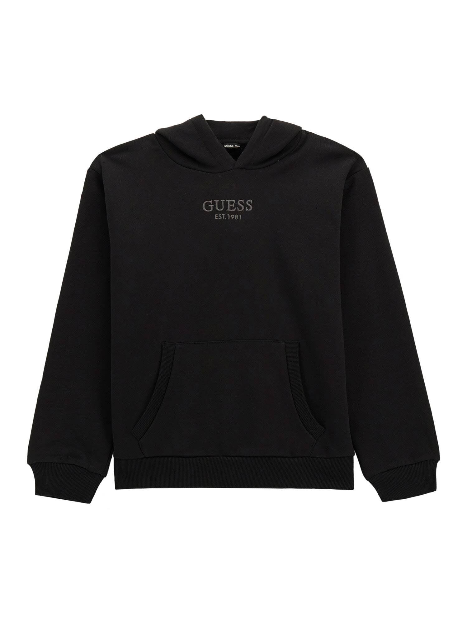 GUESS Hanorac | Regular Fit