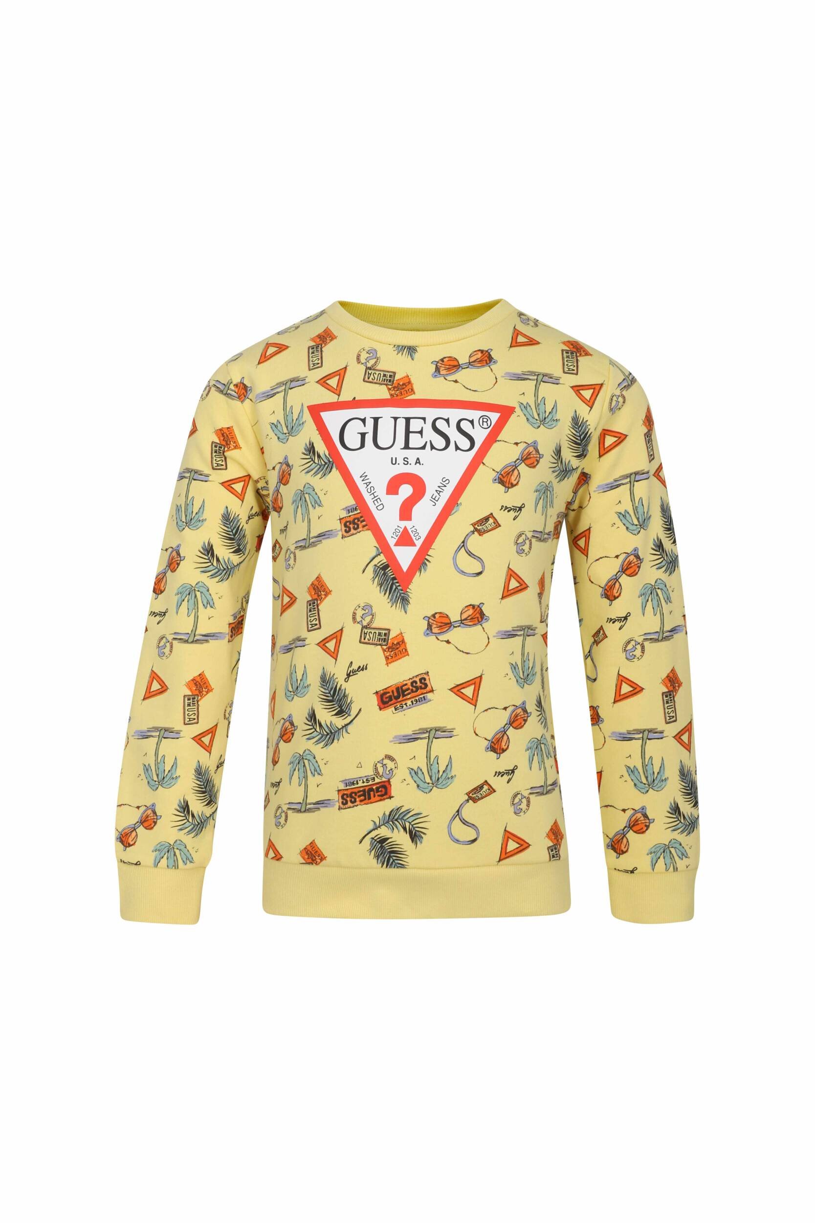 GUESS Hanorac | Regular Fit