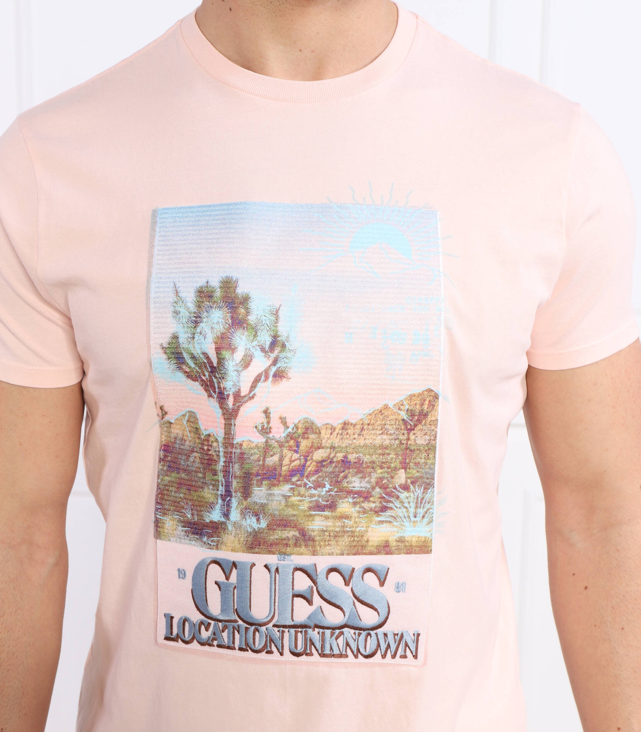 GUESS Tricou DESERT PHOTO | Regular Fit