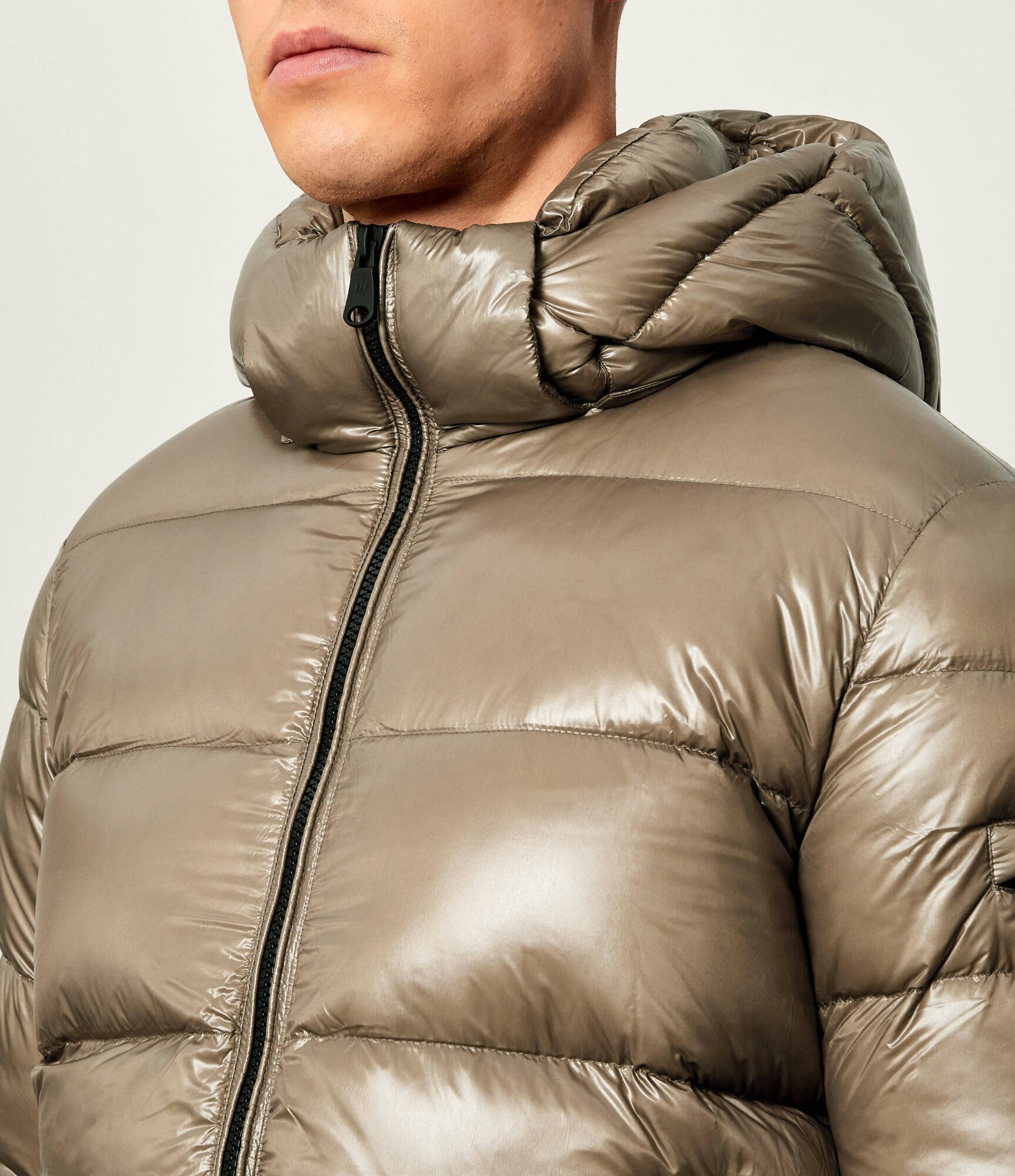 Hetrego Geacă de puf Scott | regular fit