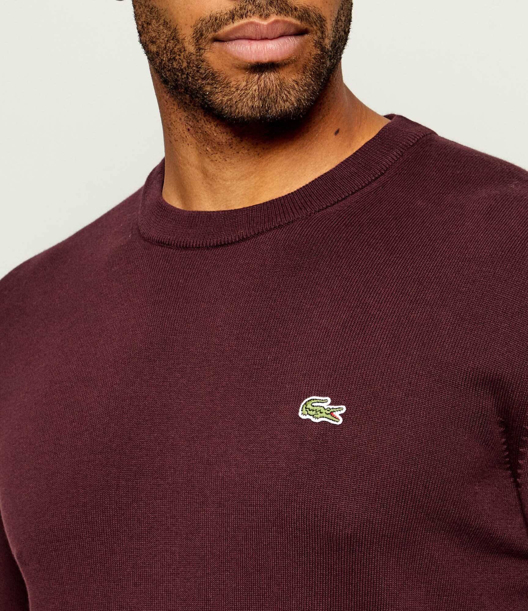 Lacoste Pulover | regular fit