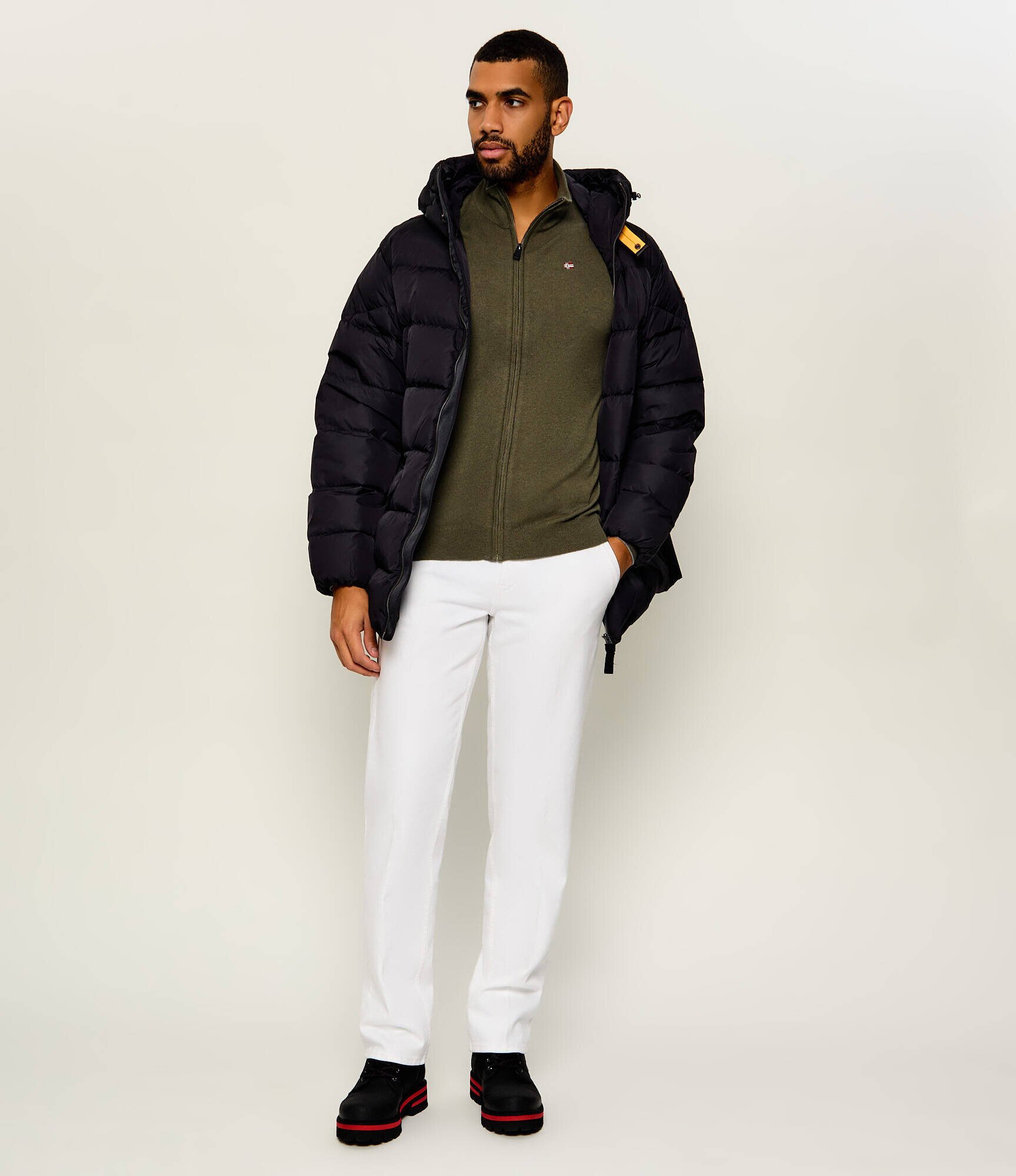 Napapijri De lână pulover Damavand Fz 3 | Slim Fit