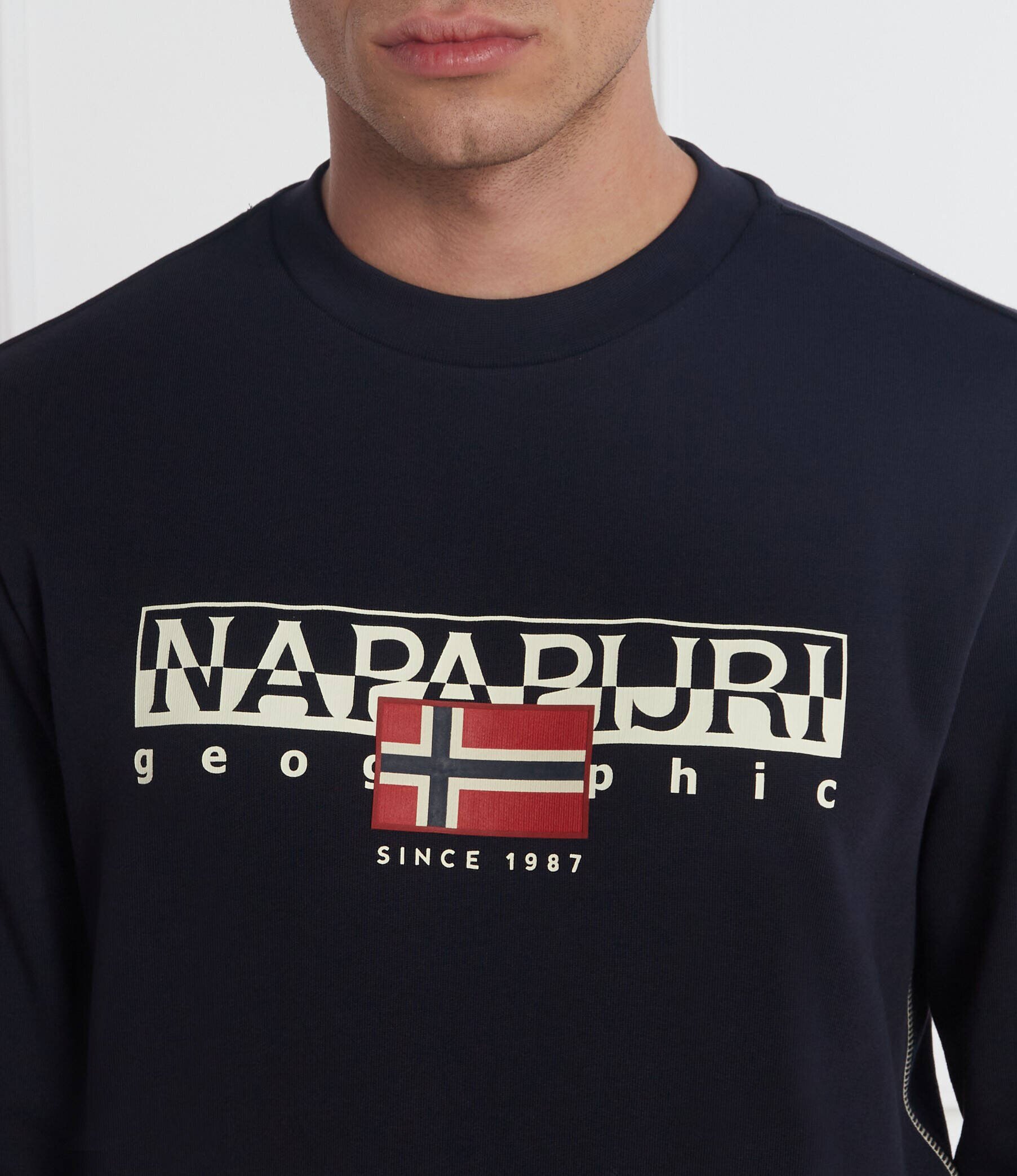 Napapijri Hanorac B-AYLMER C | Regular Fit