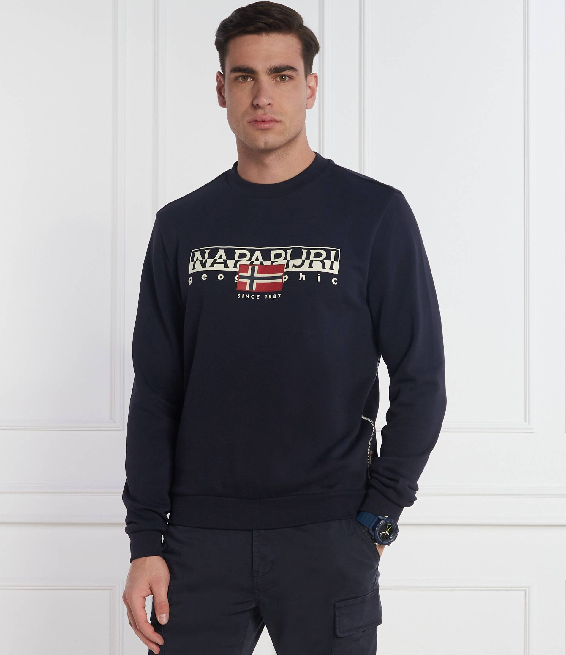 Napapijri Hanorac B-AYLMER C | Regular Fit