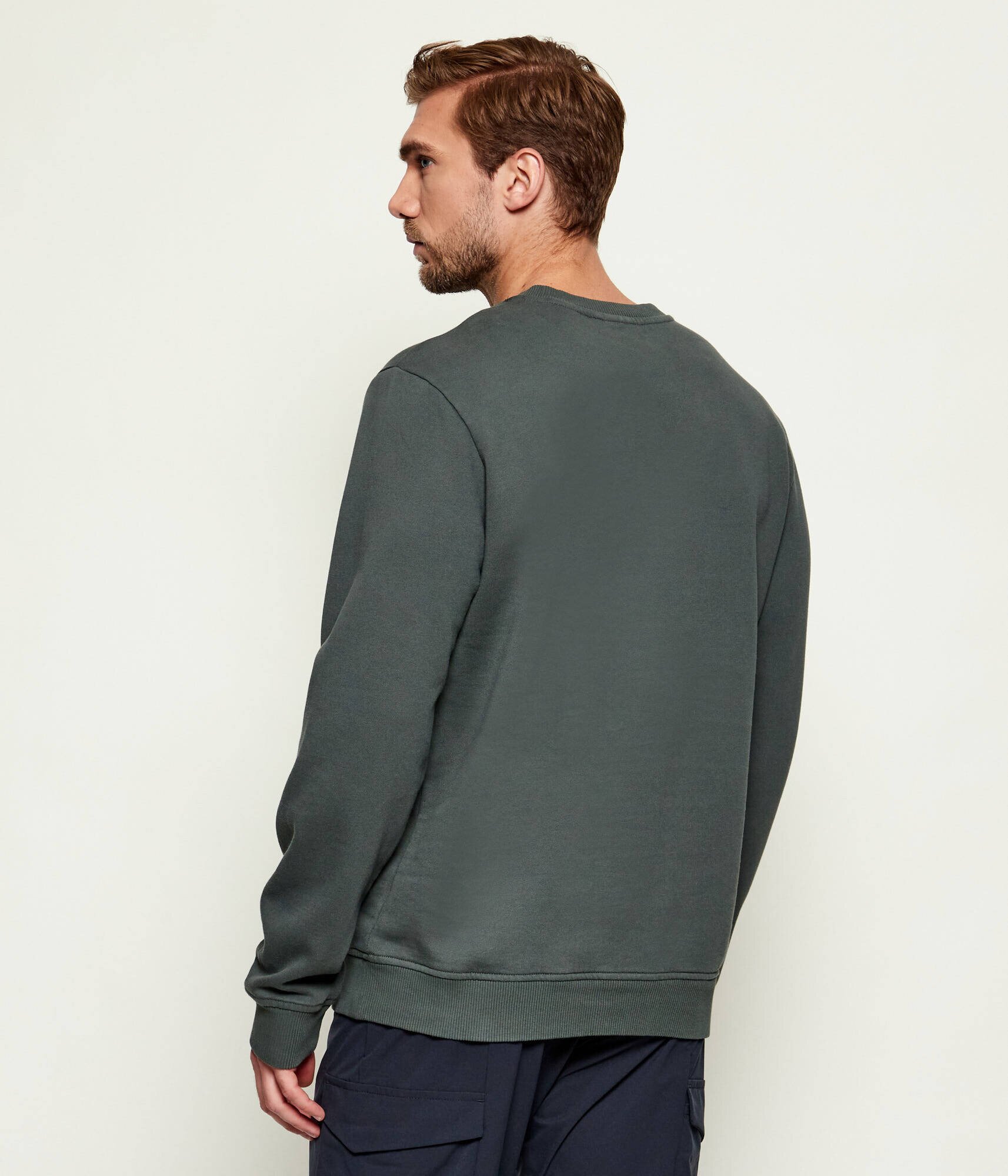 Napapijri Hanorac Balis Crew 1 | Regular Fit