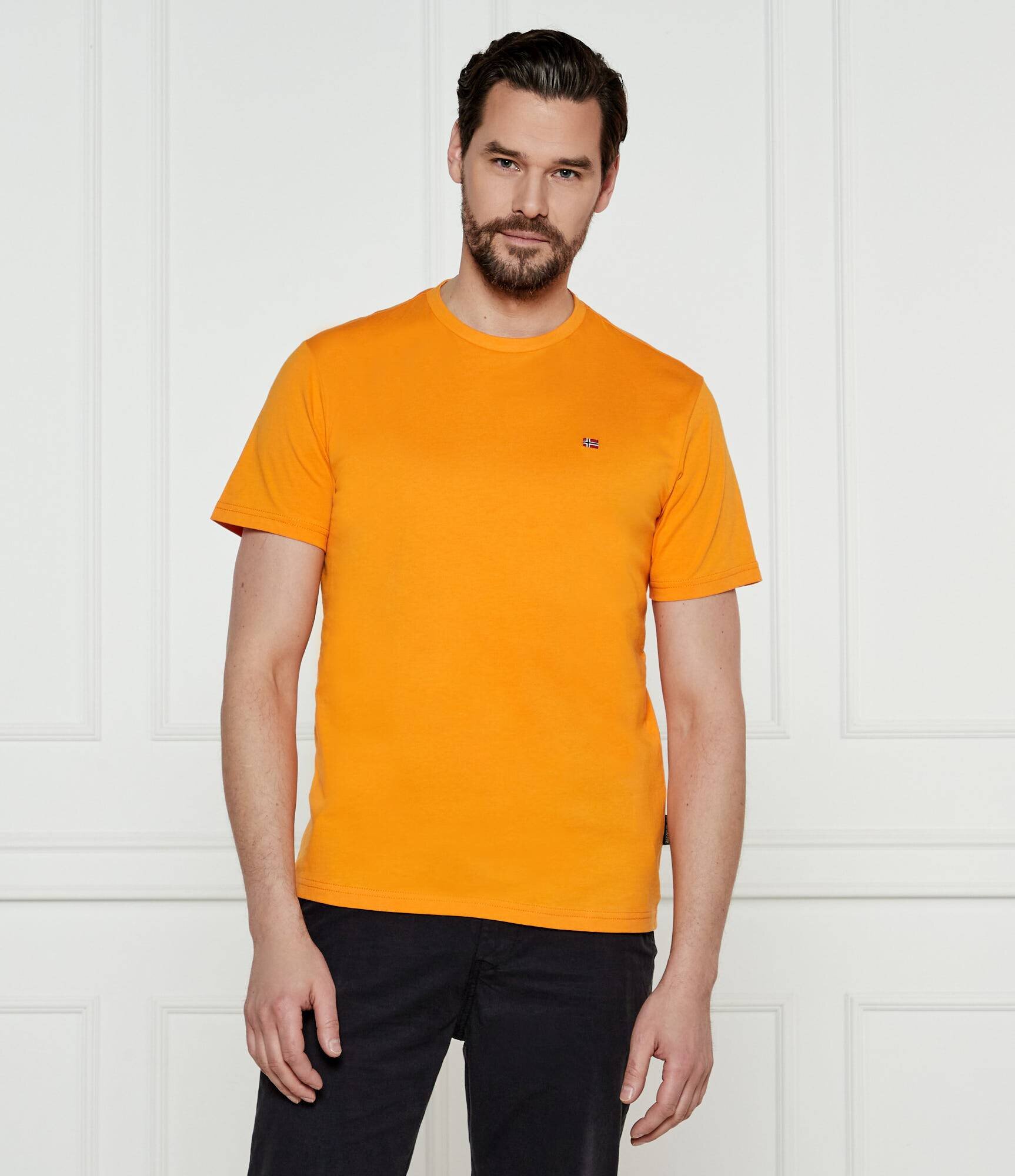 Napapijri Tricou SALIS | Regular Fit