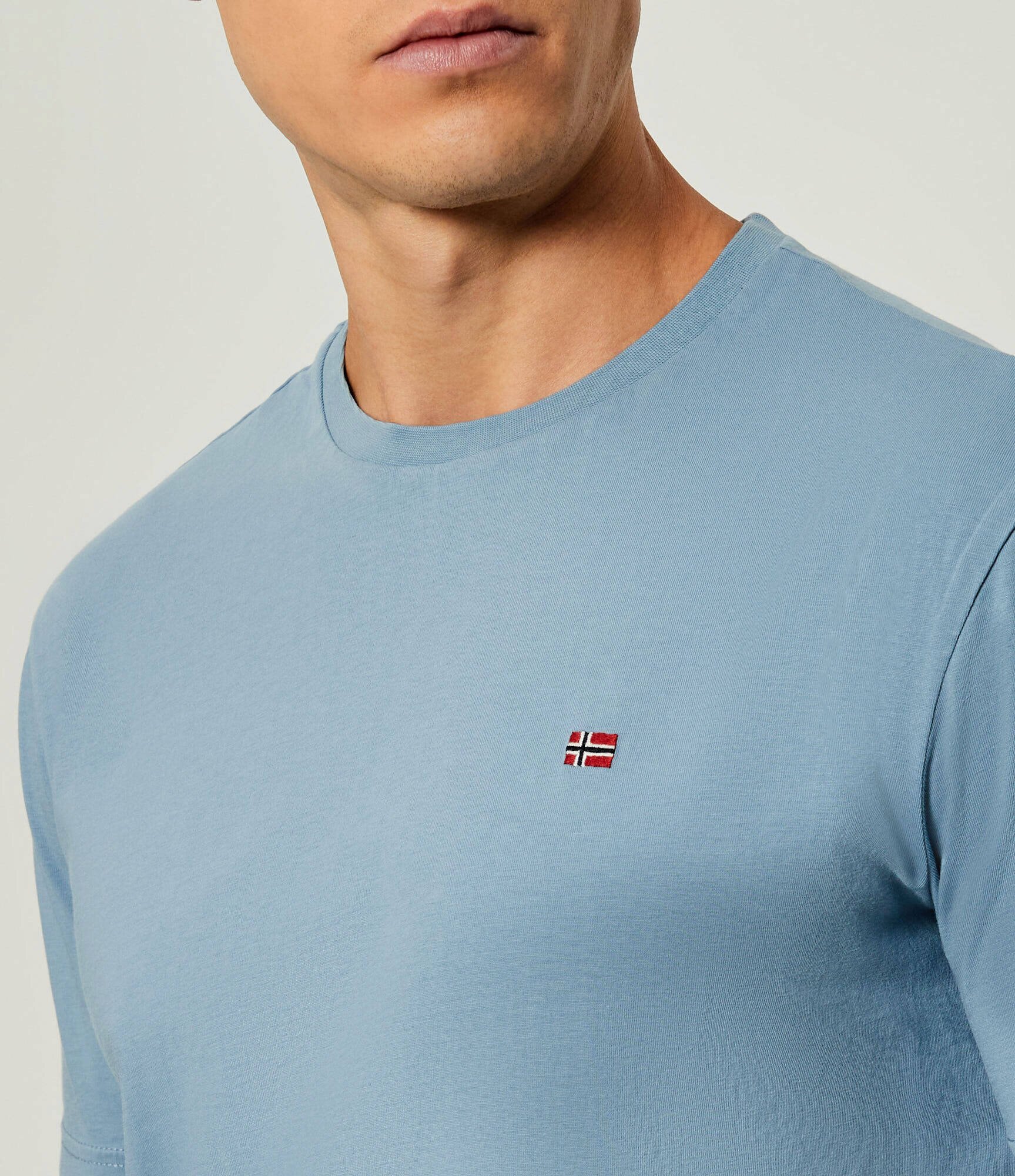 Napapijri Tricou SALIS SS SUM | regular fit