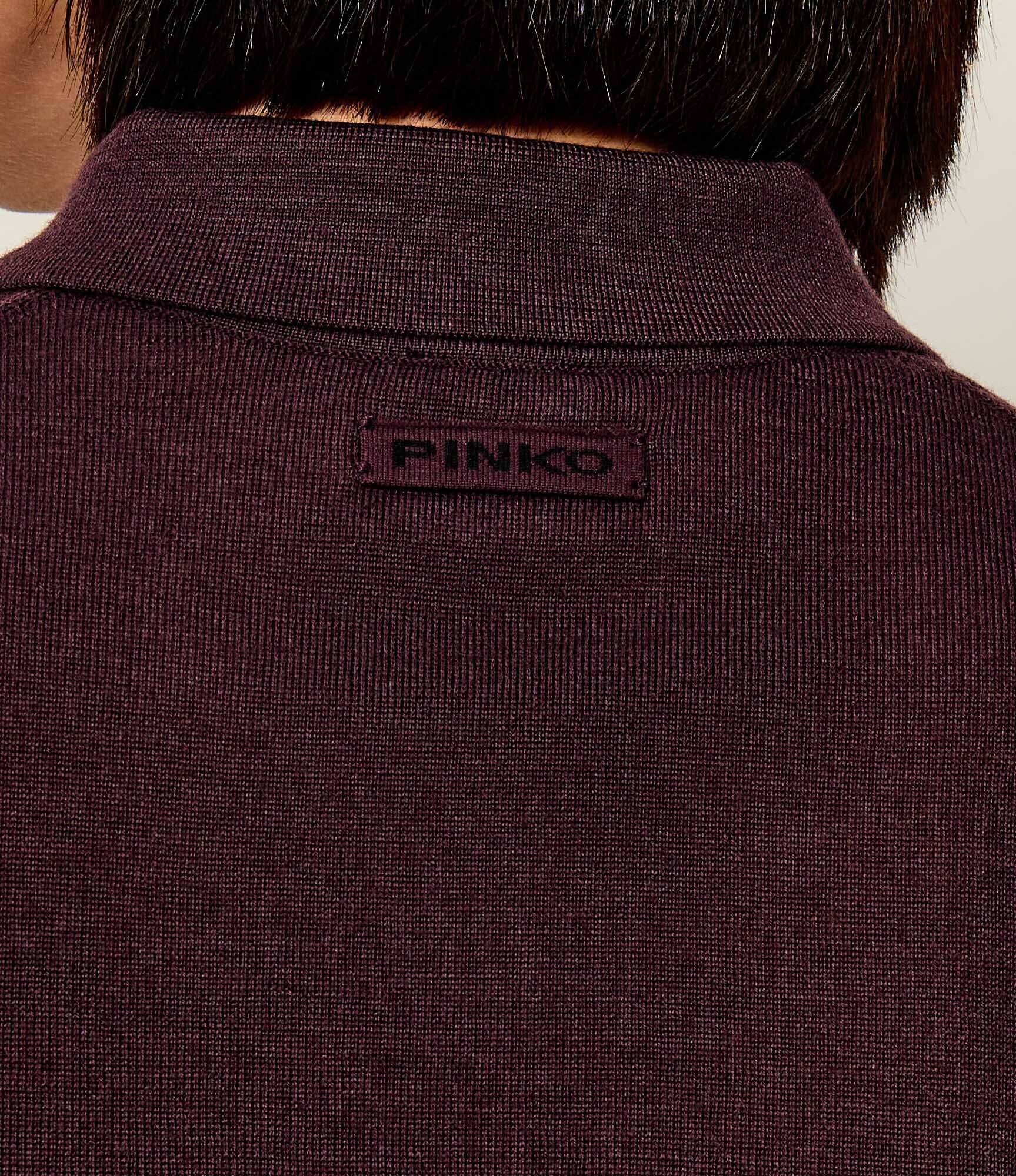Pinko De lână polo Vaduz | regular fit