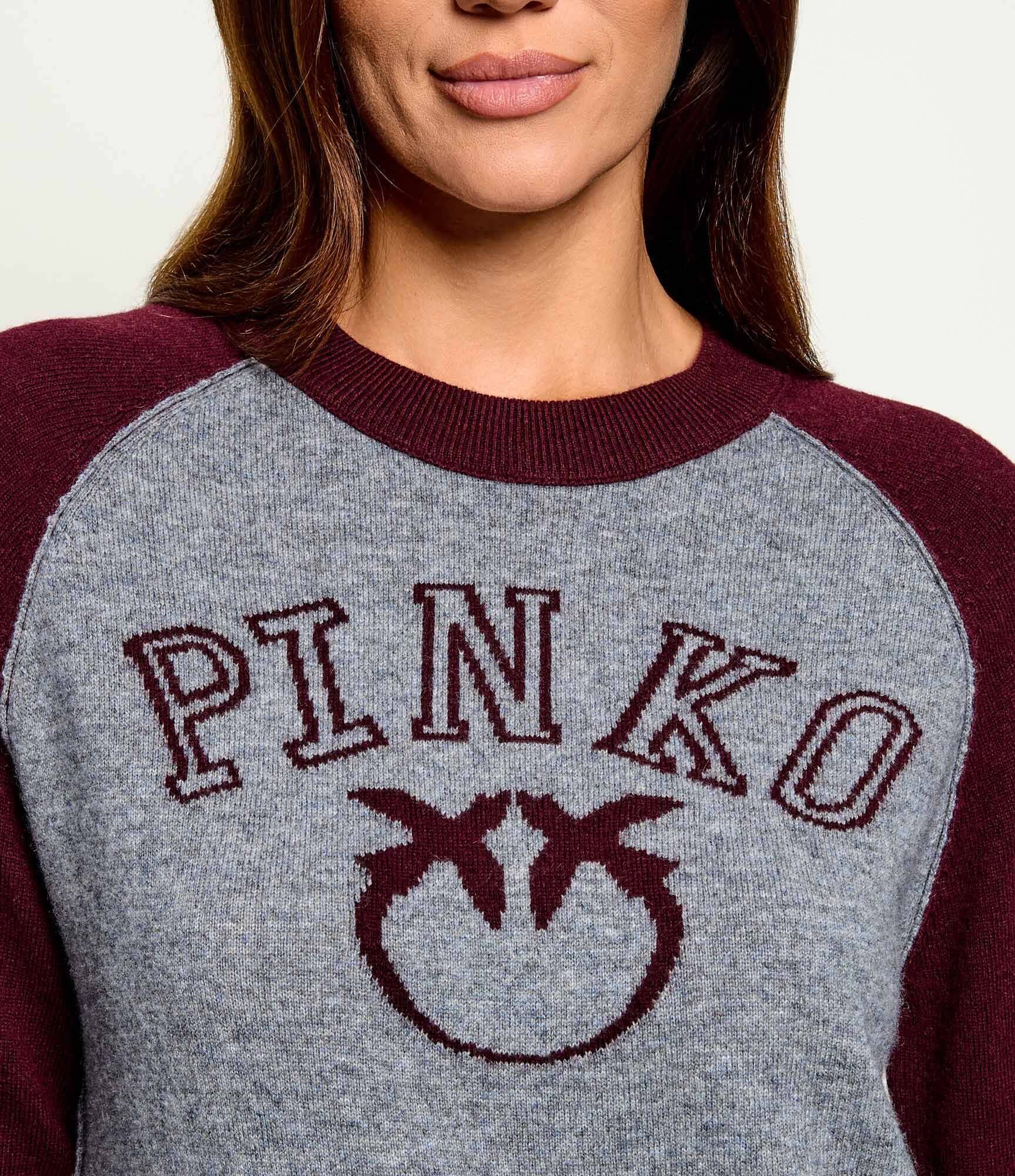 Pinko De lână pulover Amsterdam | regular fit cu adaos de cașmir