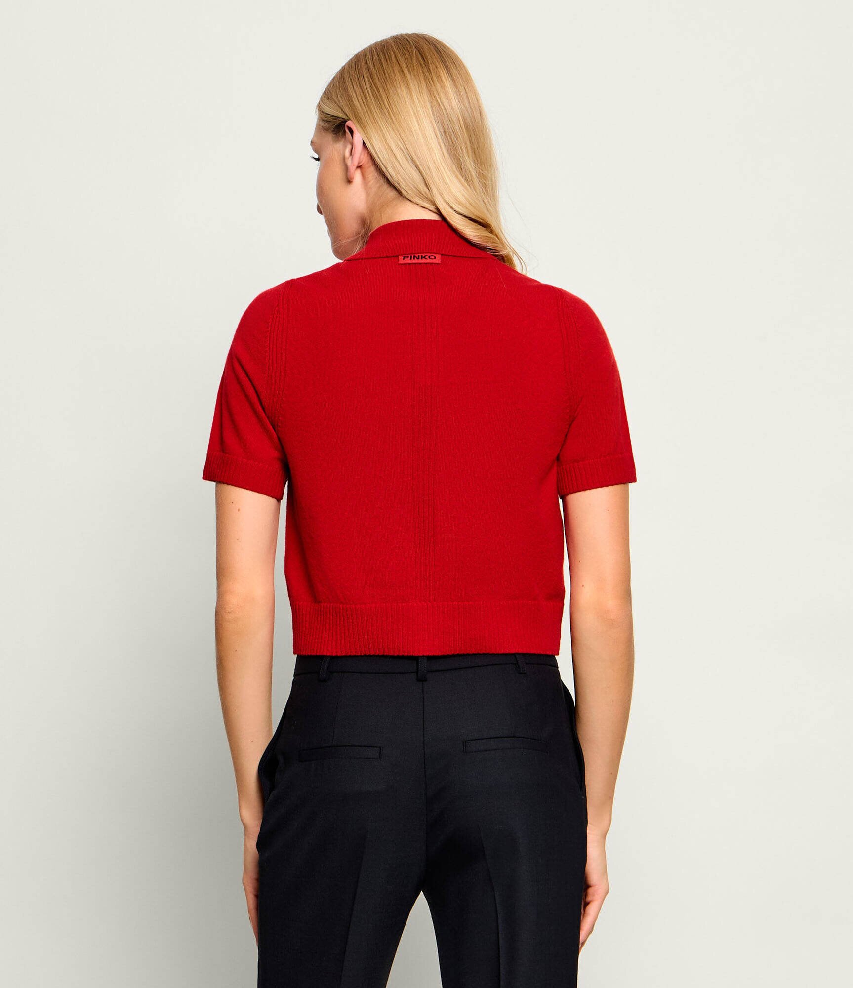 Pinko De lână pulover Gorgona | Cropped Fit cu adaos de cașmir