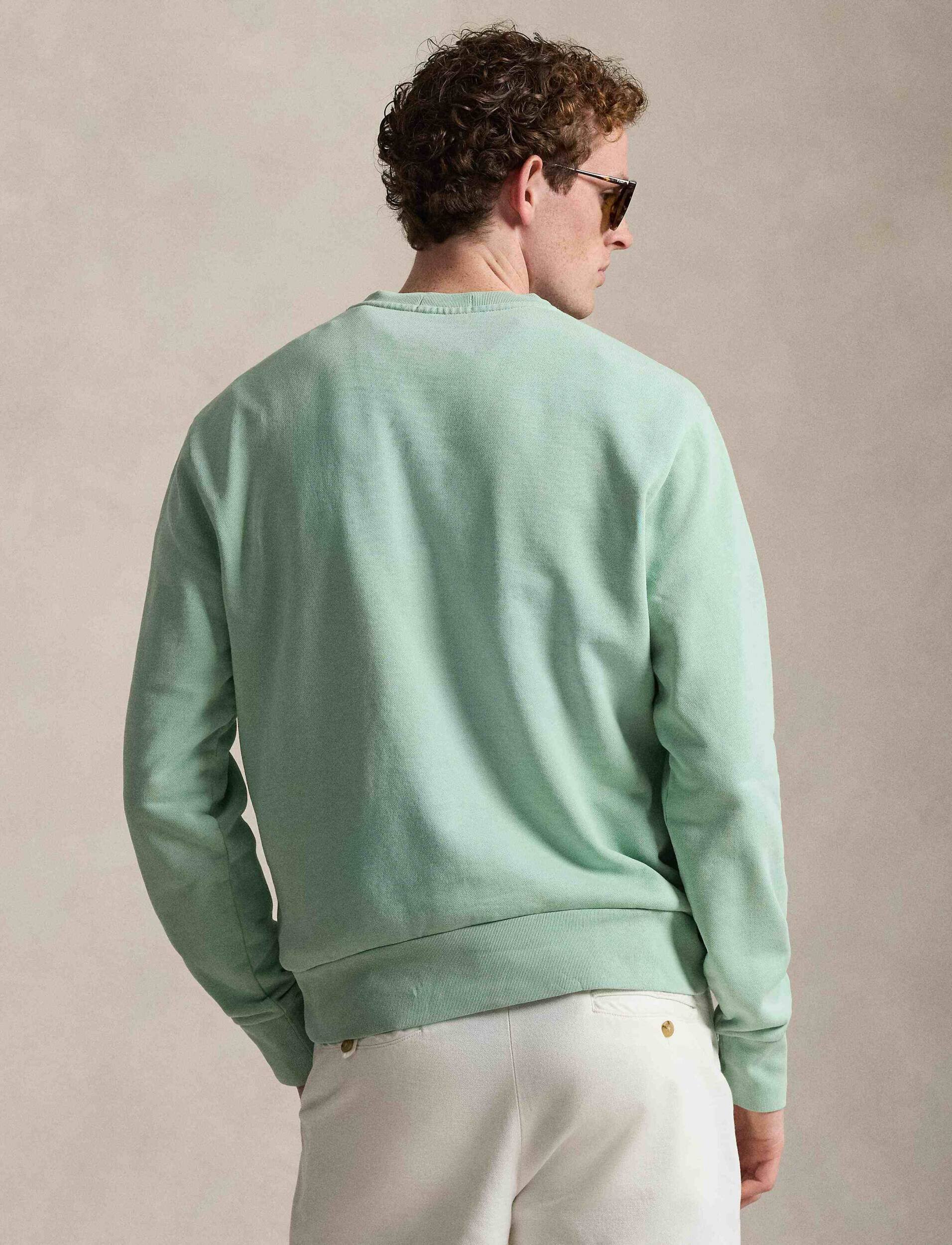 Polo Ralph Lauren Hanorac | regular fit