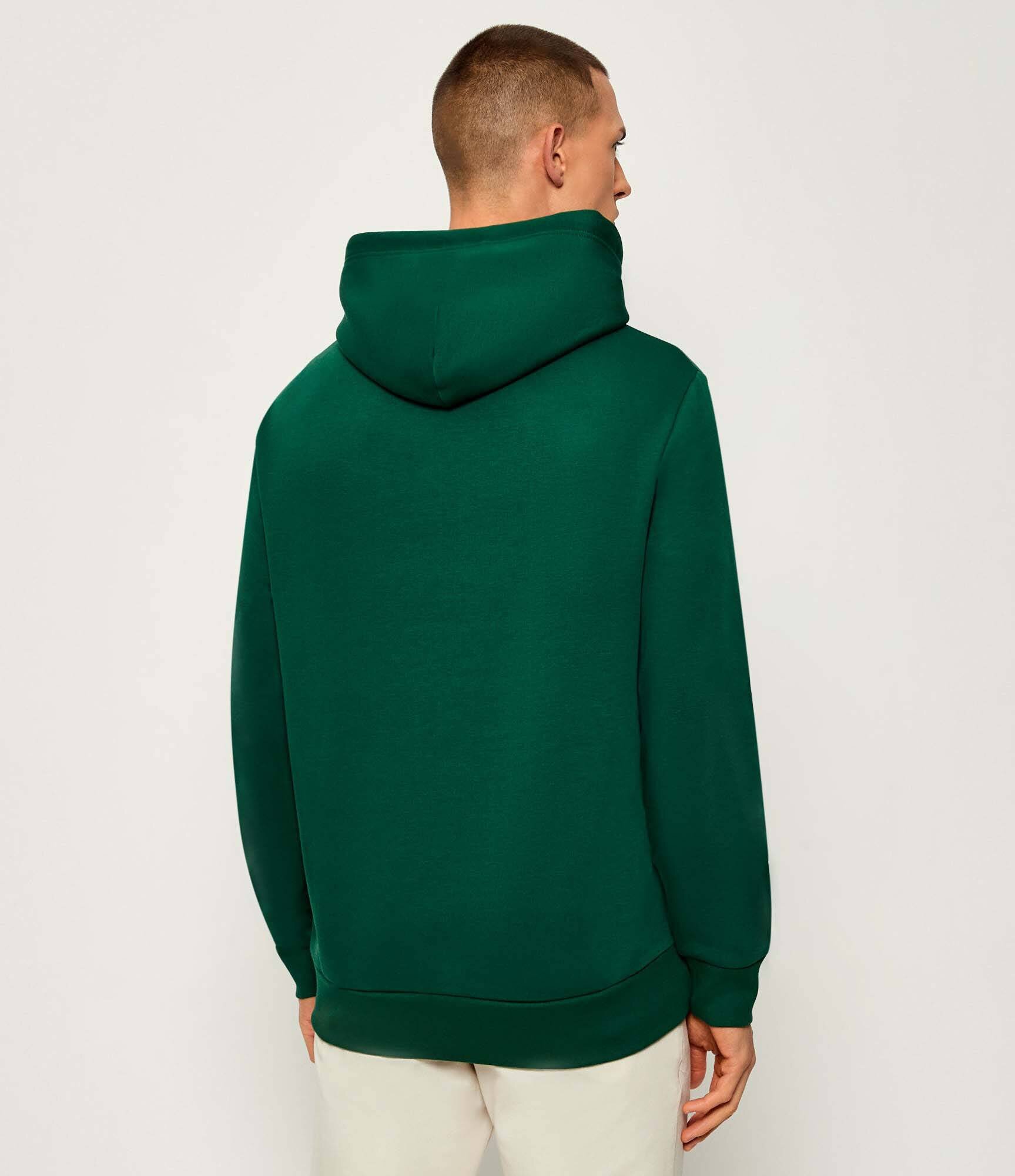 Polo Ralph Lauren Hanorac | regular fit
