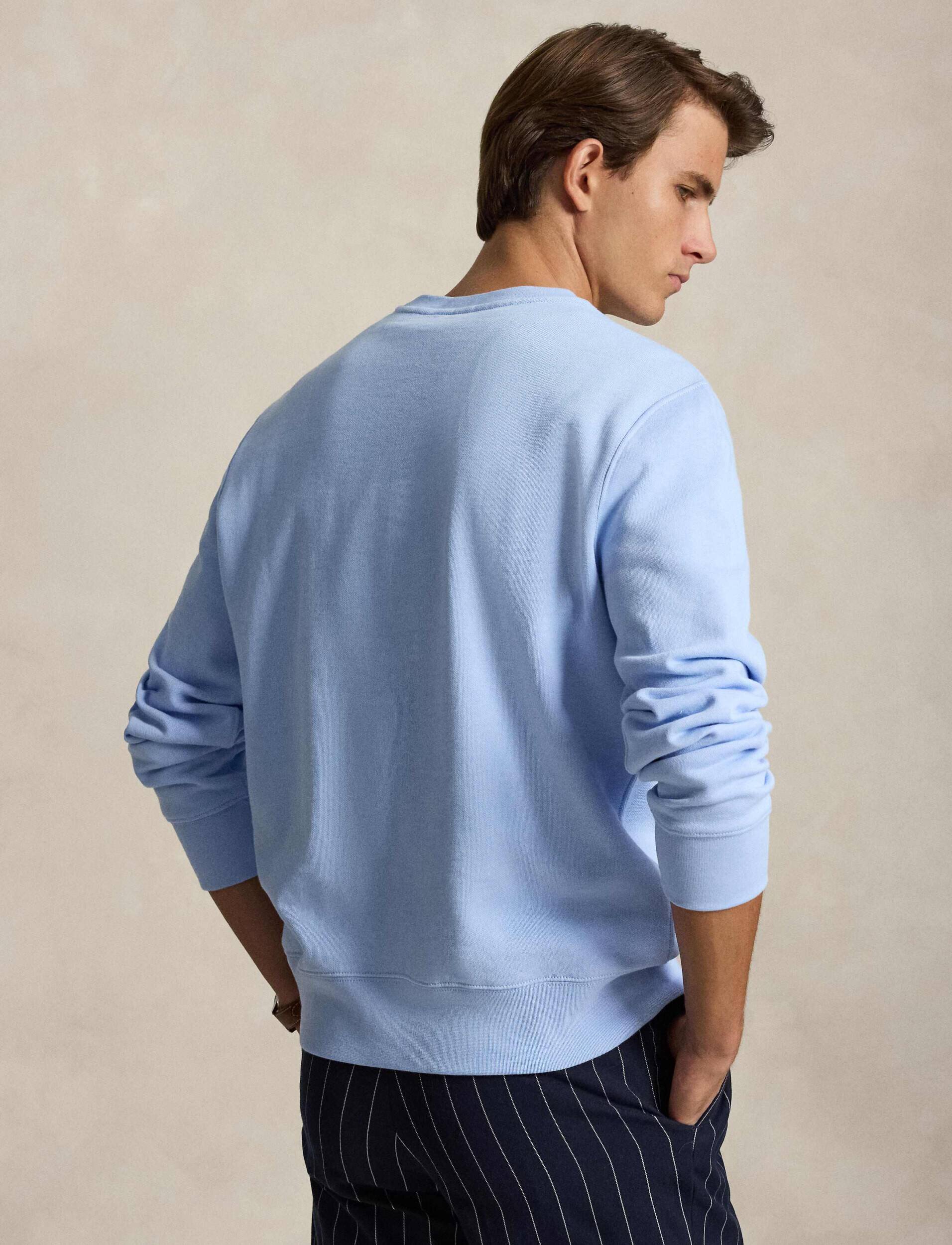 Polo Ralph Lauren Hanorac | regular fit