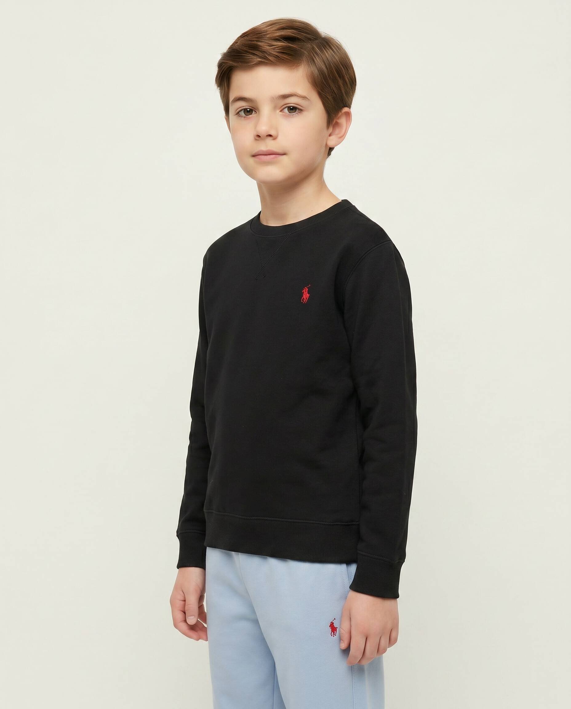 Polo Ralph Lauren hanorac SEASONAL | Regular Fit