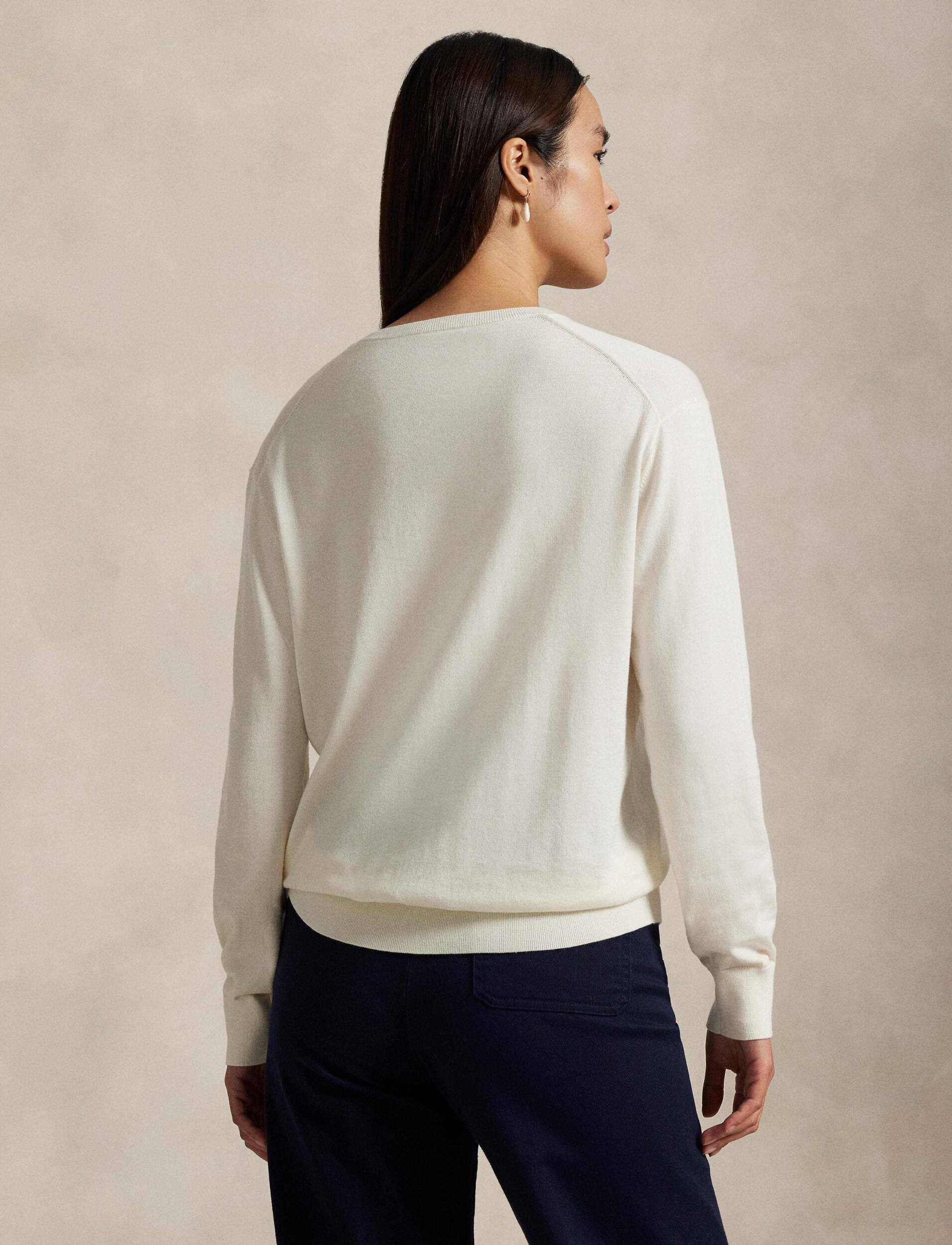 Polo Ralph Lauren Pulover | regular fit