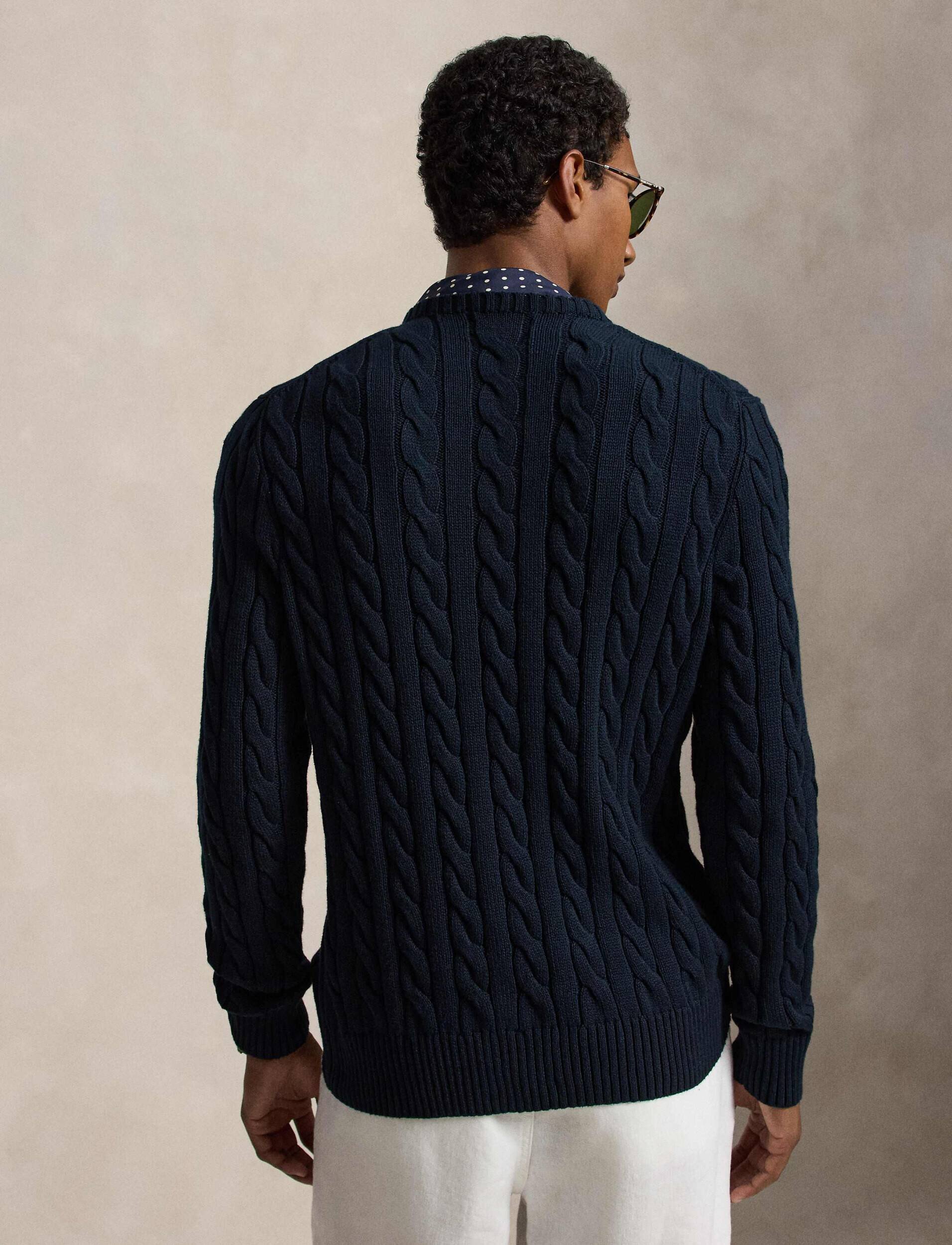 Polo Ralph Lauren Pulover | regular fit