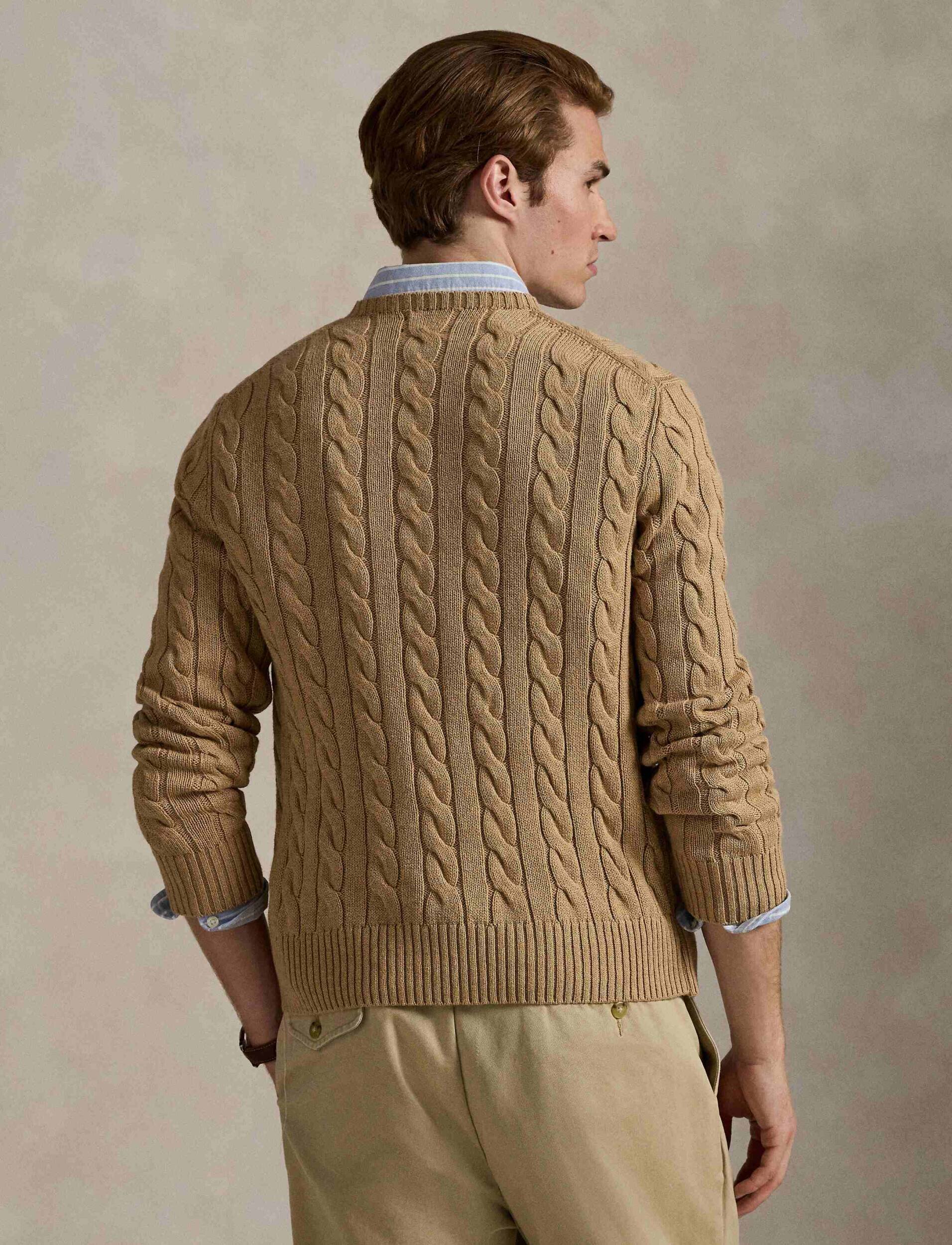 Polo Ralph Lauren Pulover | Regular Fit