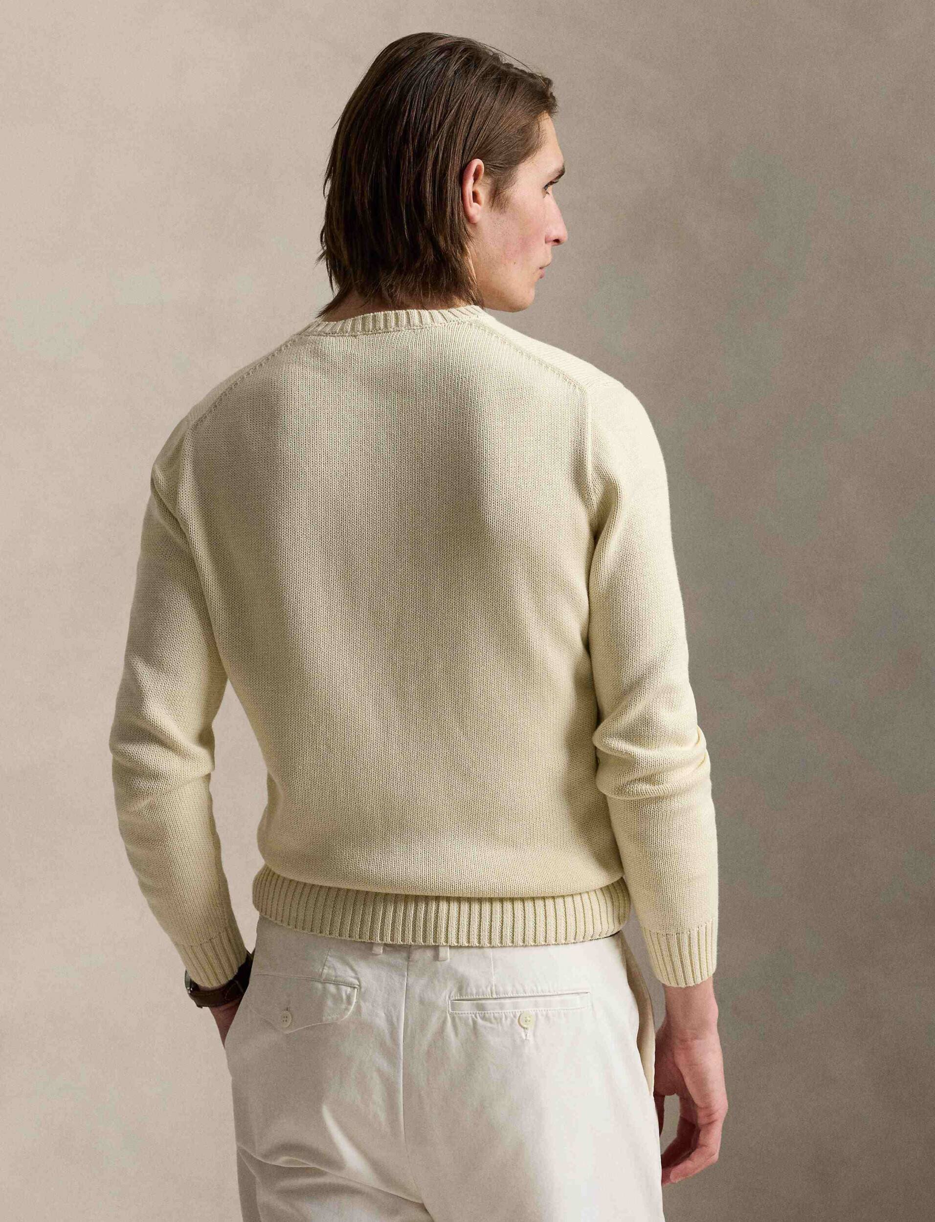 Polo Ralph Lauren Pulover | regular fit