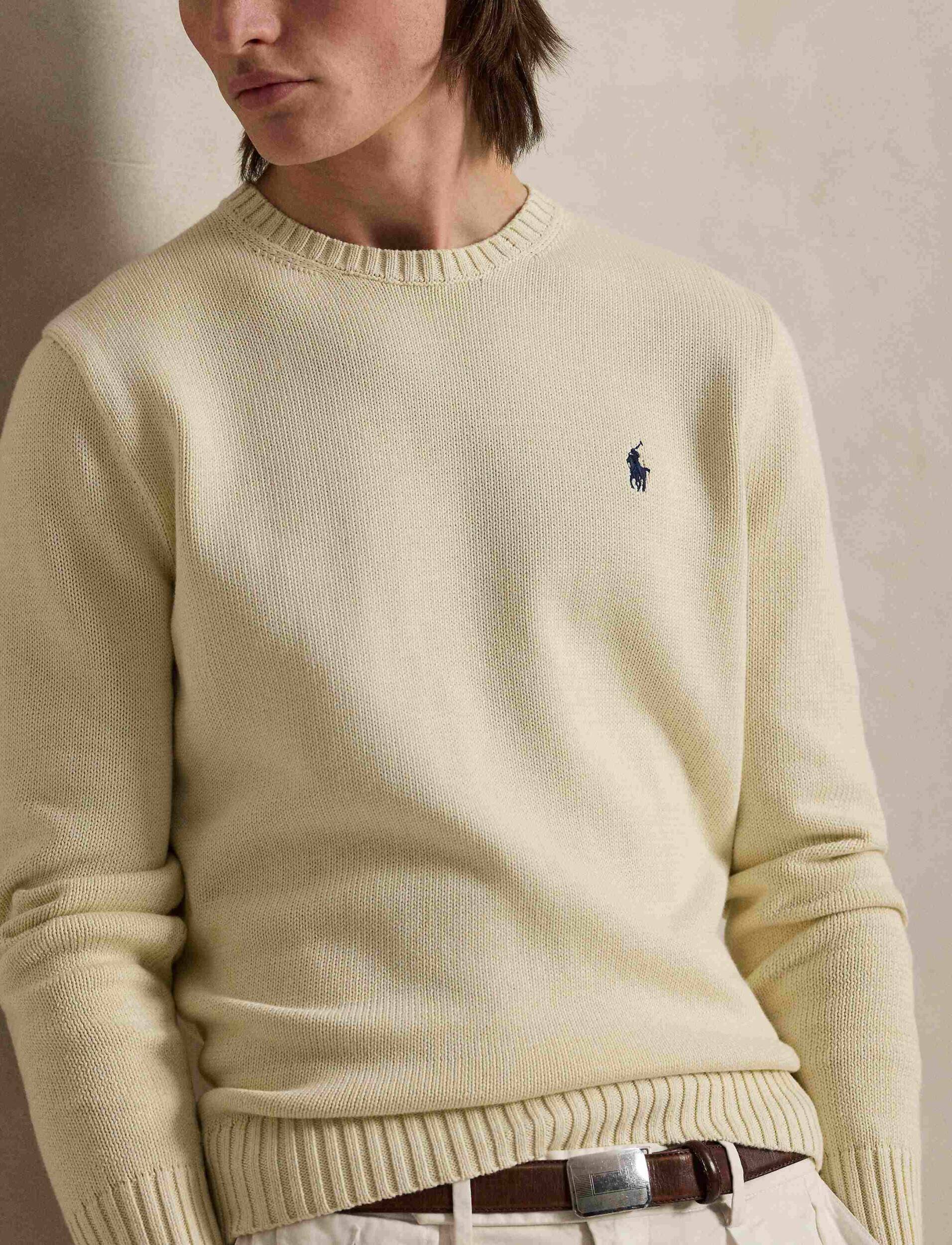 Polo Ralph Lauren Pulover | regular fit