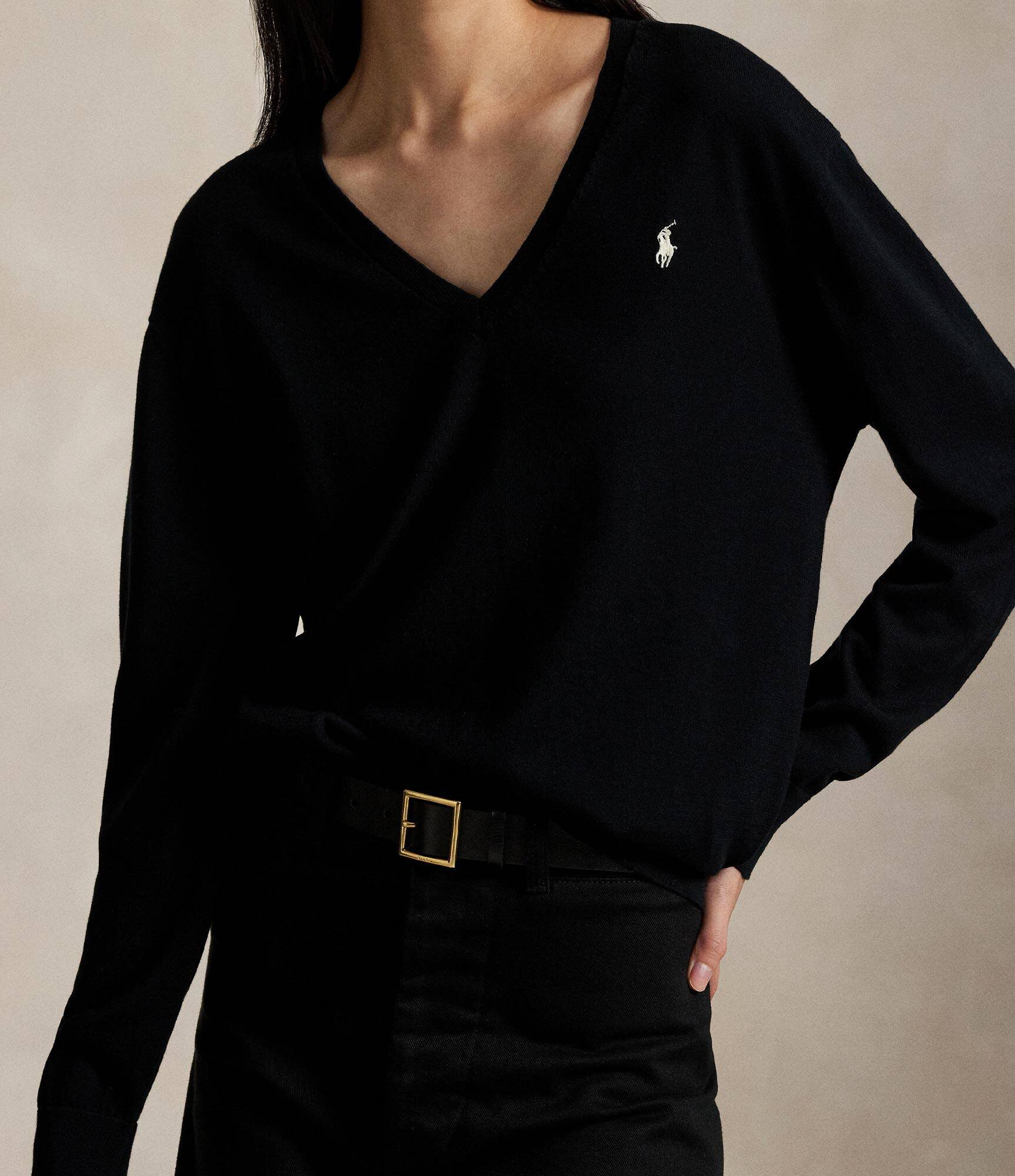 Polo Ralph Lauren Pulover | regular fit