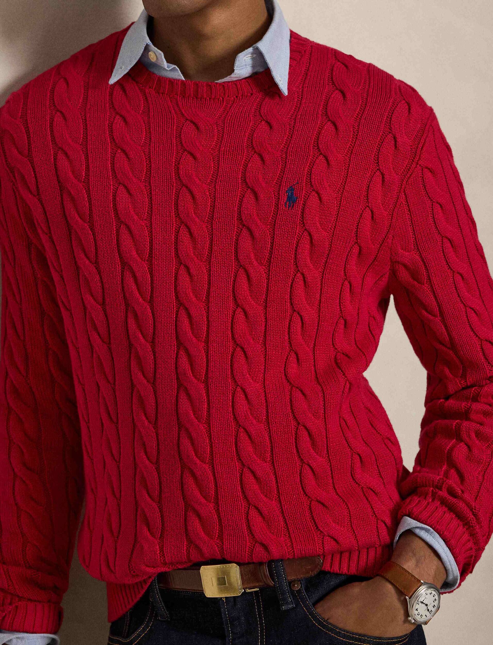 Polo Ralph Lauren Pulover | Regular Fit