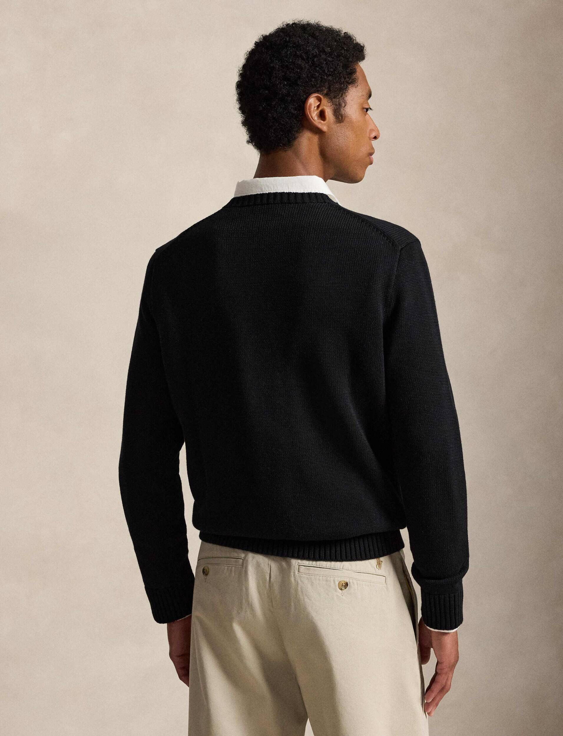 Polo Ralph Lauren Pulover | Regular Fit
