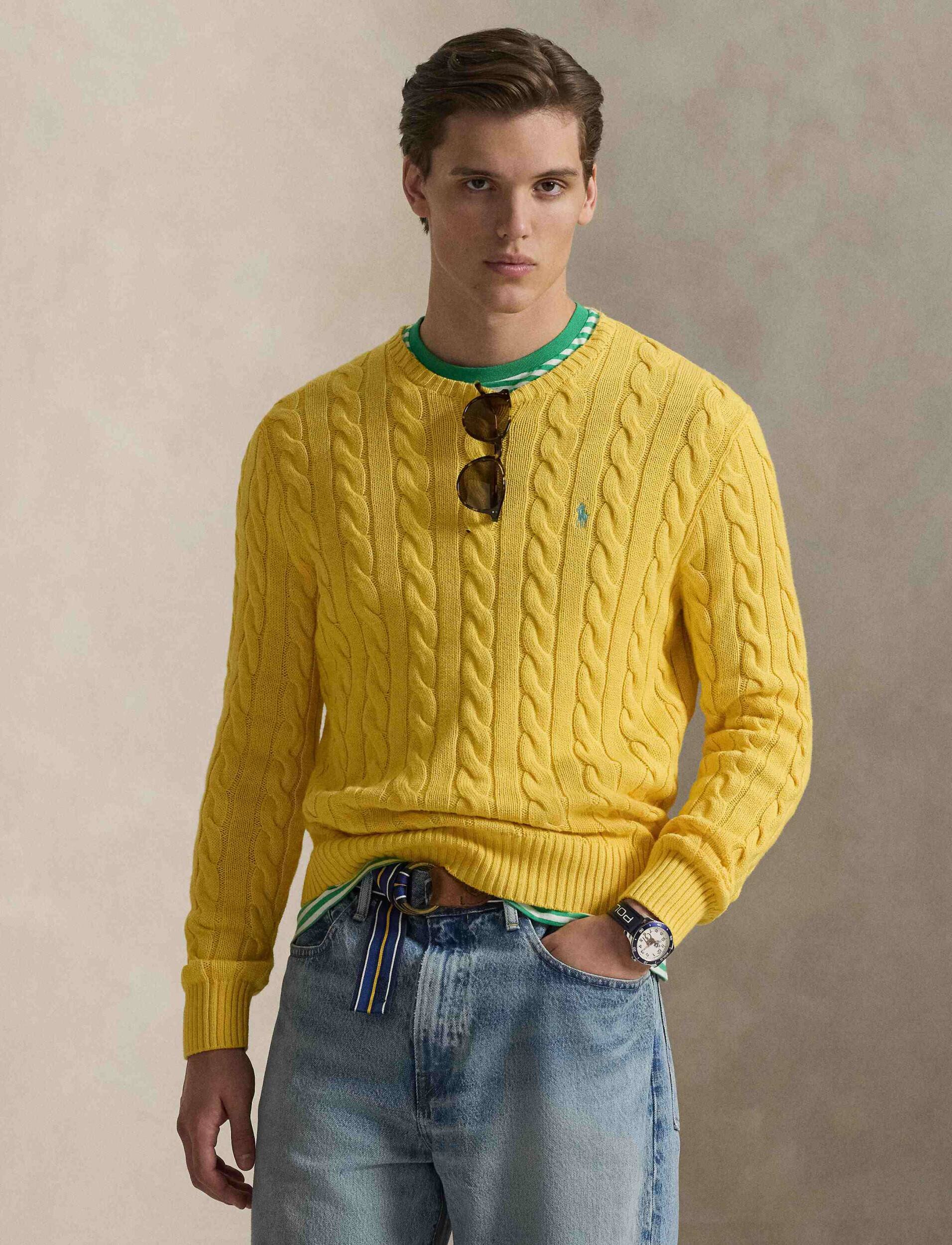 Polo Ralph Lauren Pulover | regular fit